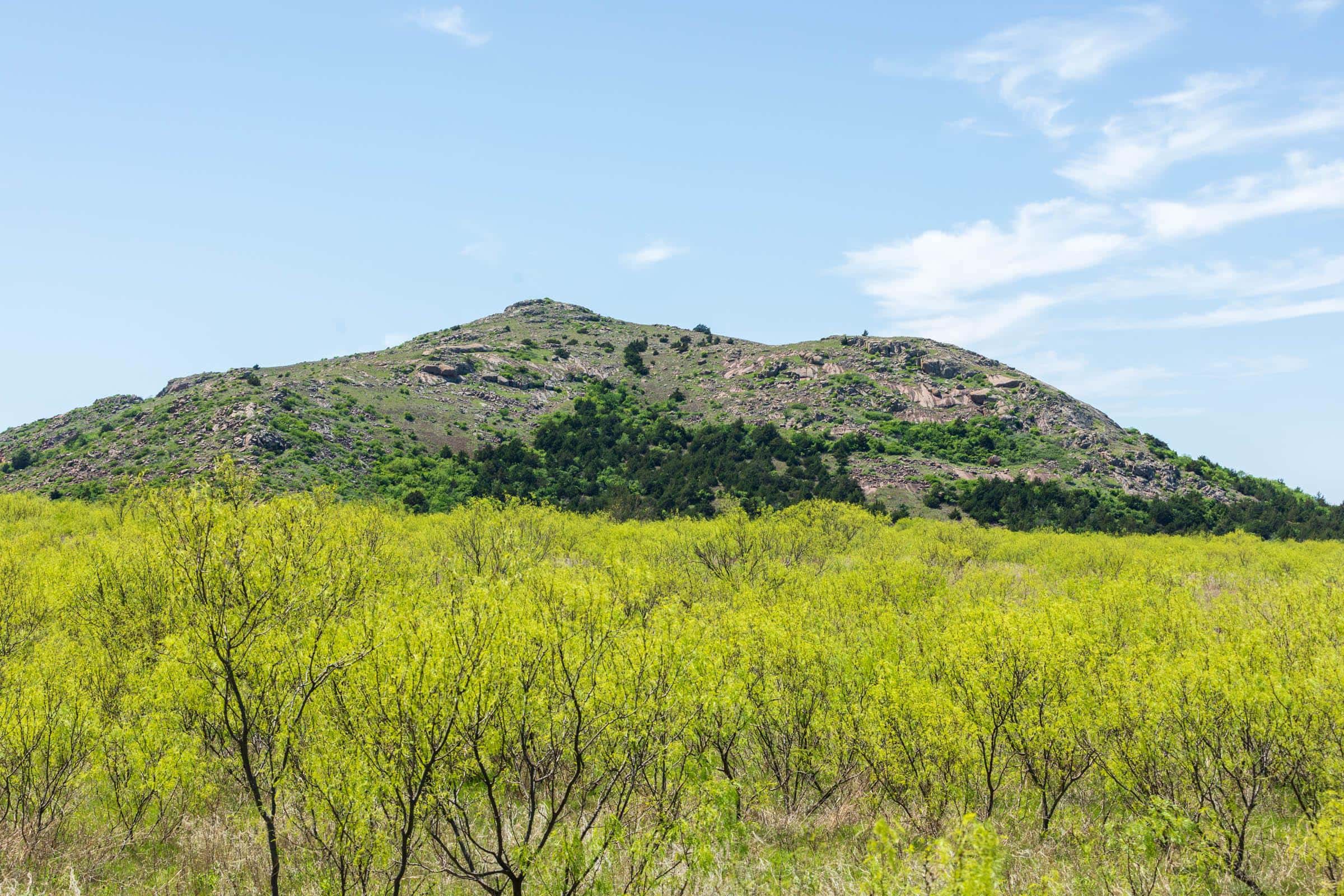 Hackberry Fields 