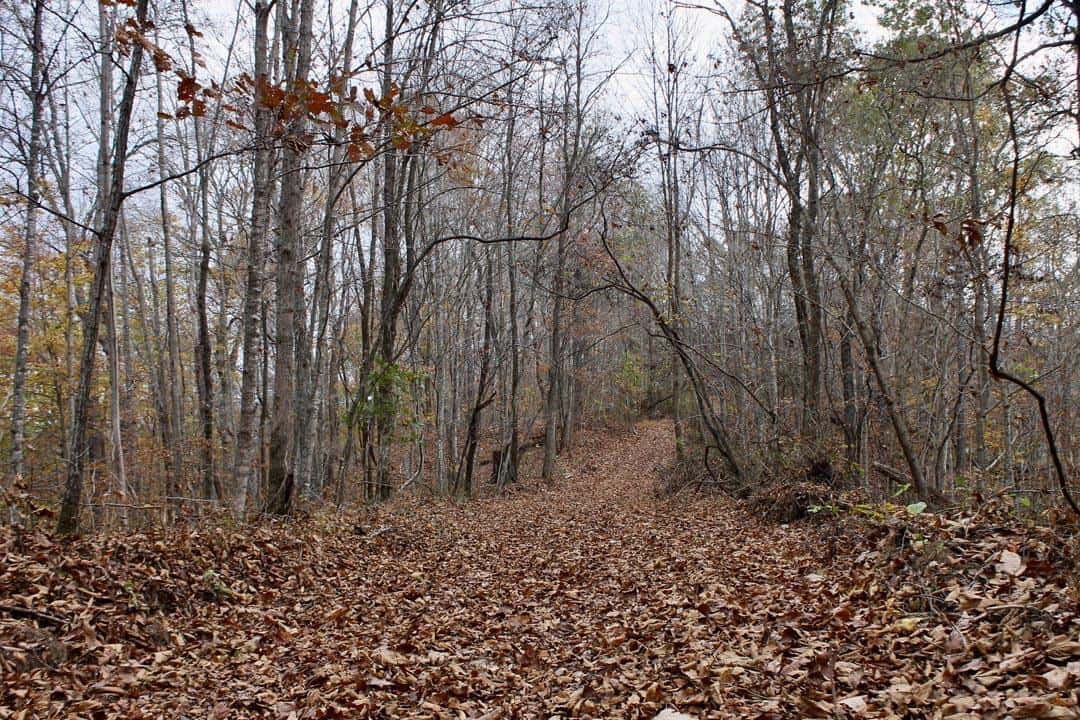 Autumn Ridge