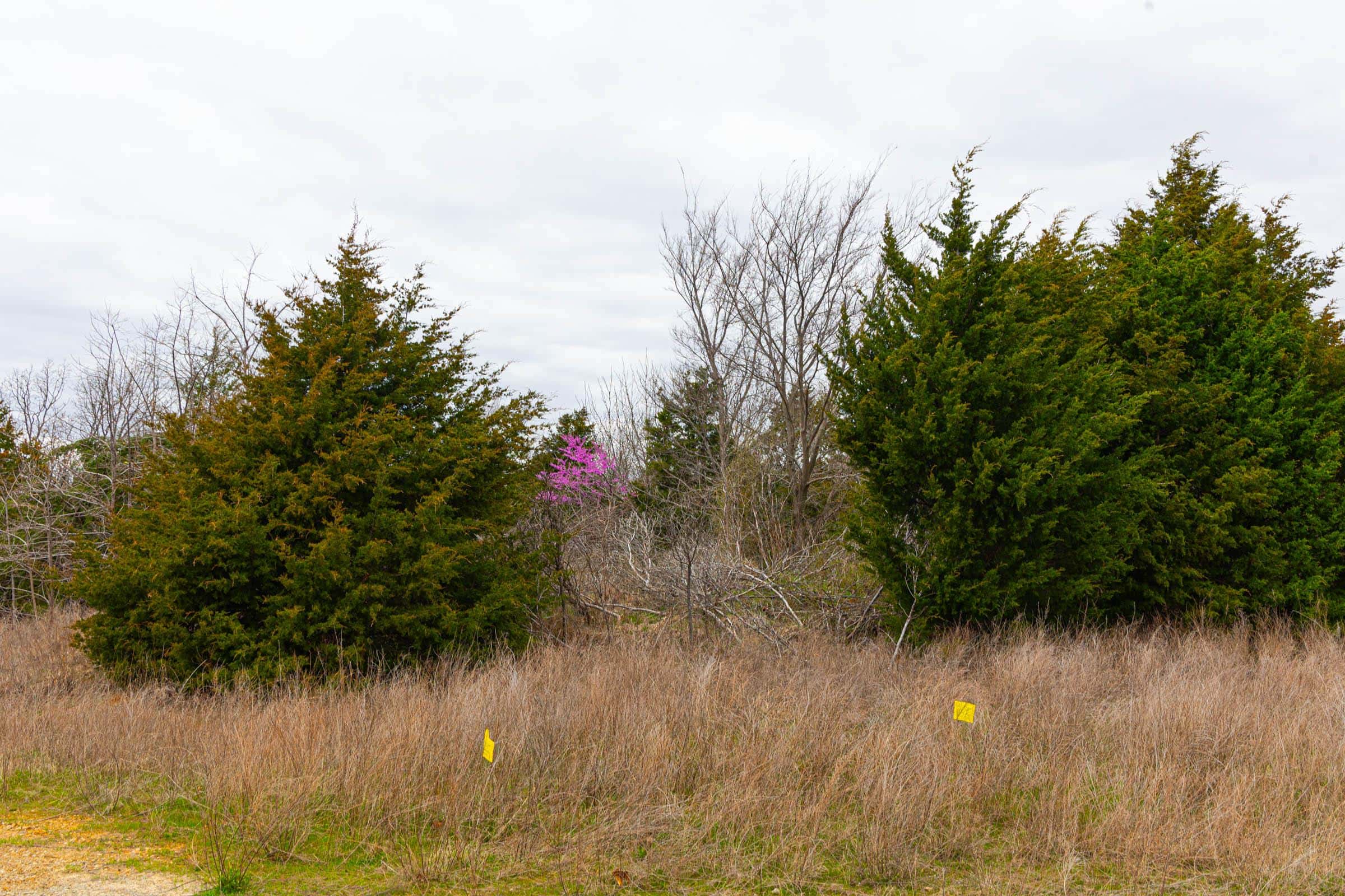 Reserves At Cattail Cove Phase I
