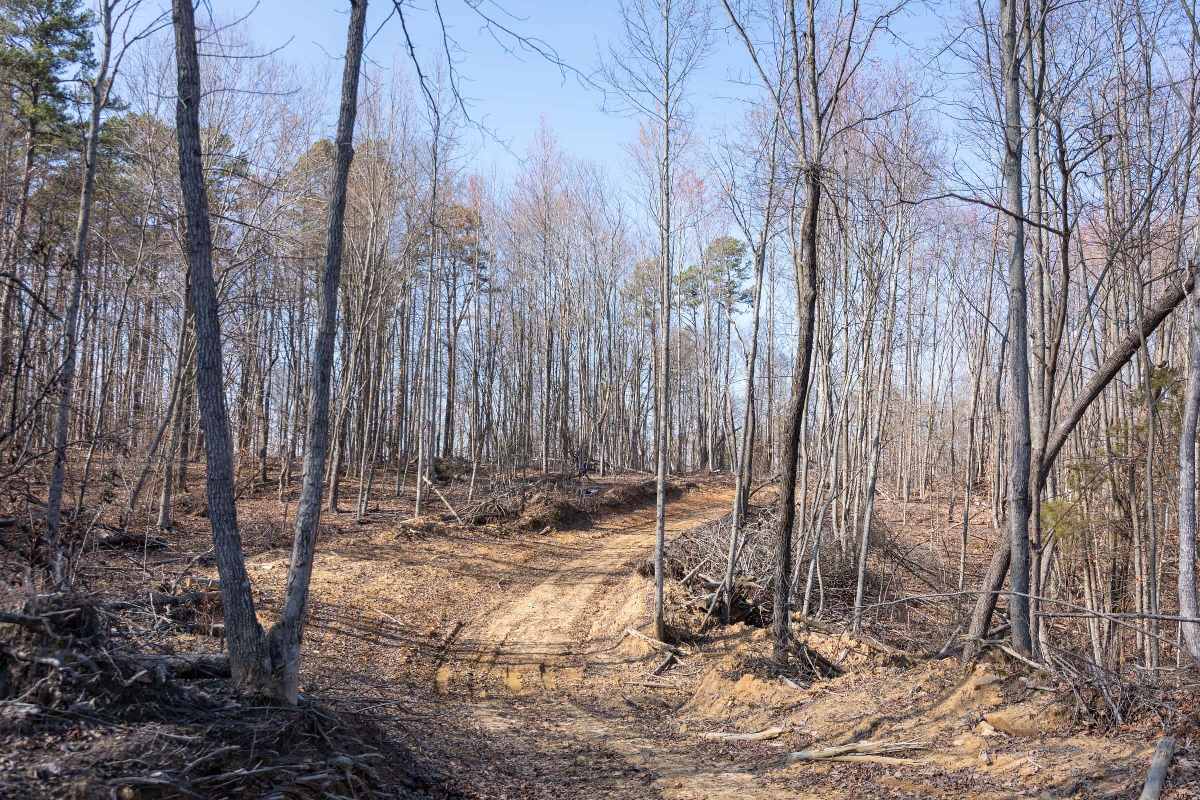 Creek Hollow Phase 1
