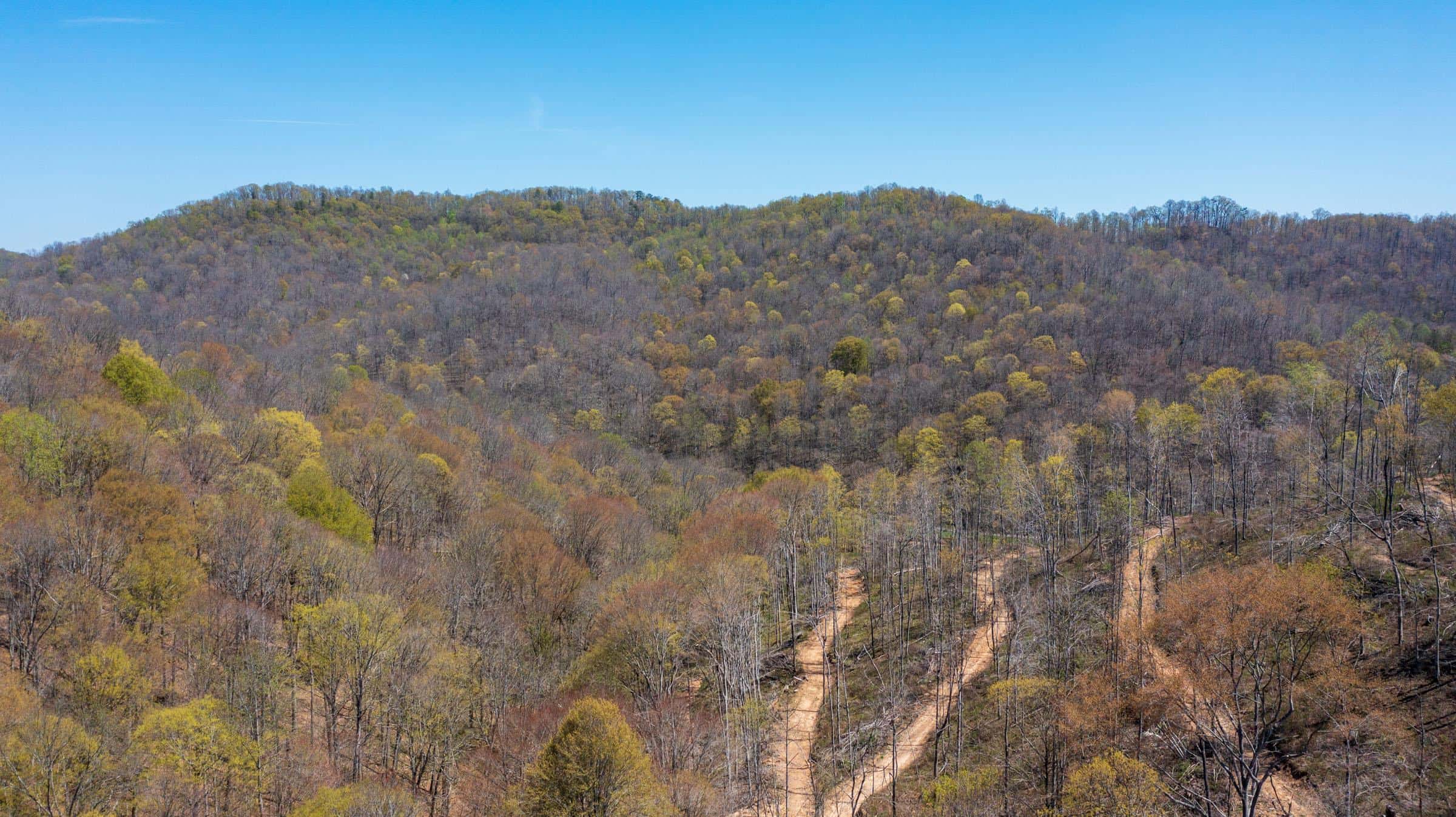Creek Hollow Phase 1
