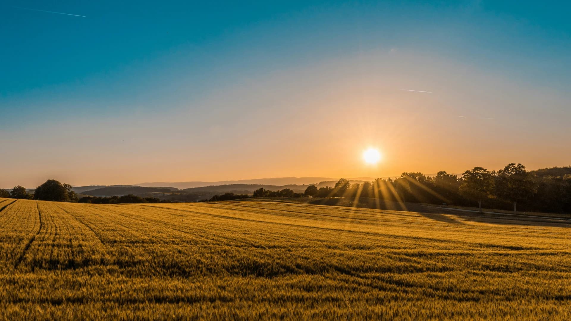Rural land at sunset