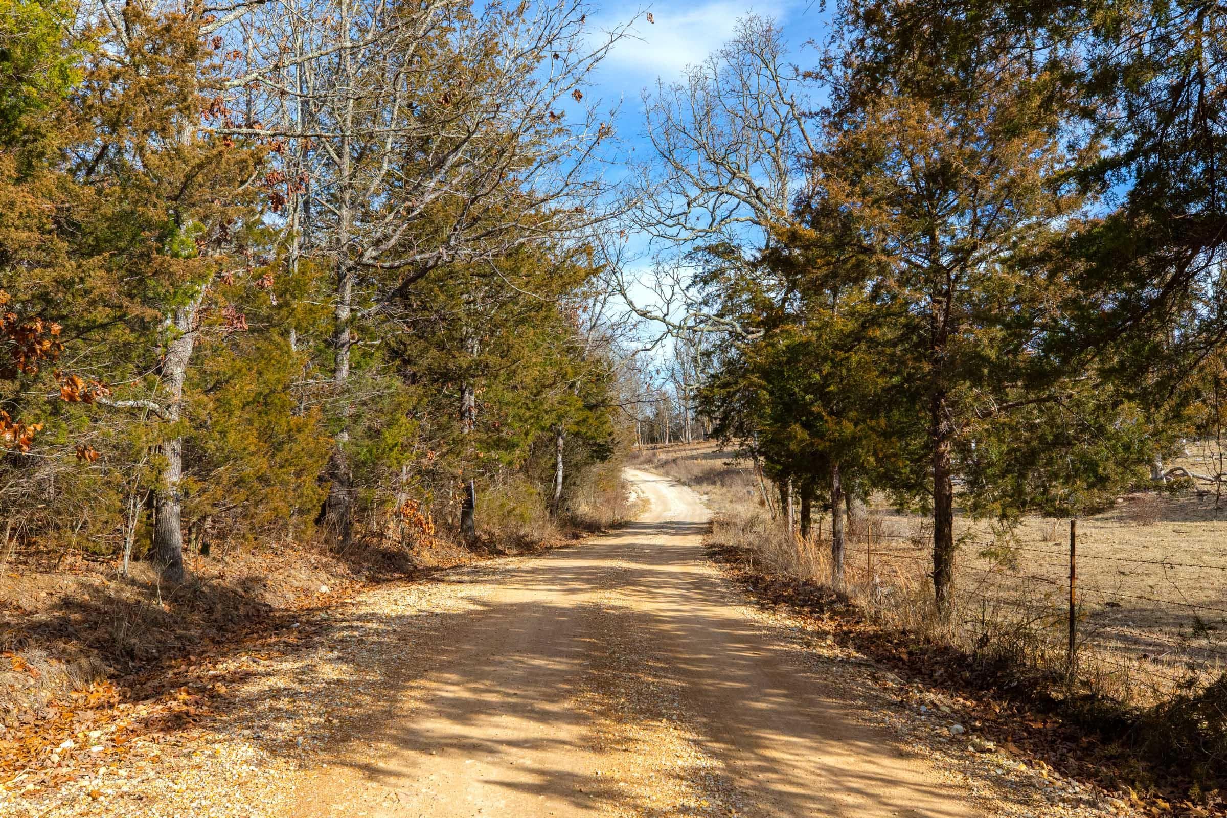 Forest Hill — Zero Credit Land owner financed land for sale in Texas County, Missouri photo 22