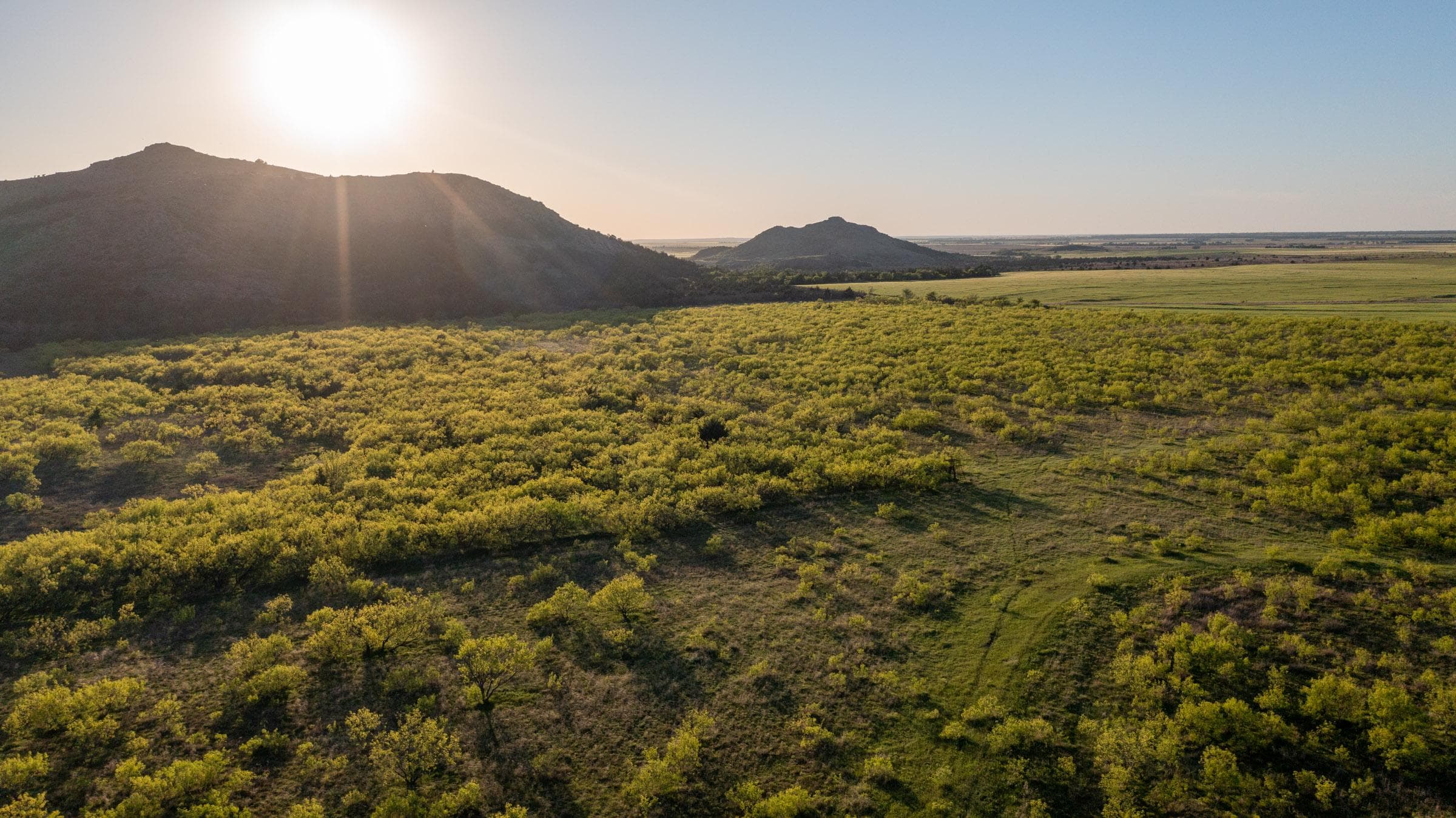 Hackberry Fields  — Zero Credit Land owner financed land for sale in Greer County, Oklahoma photo 83