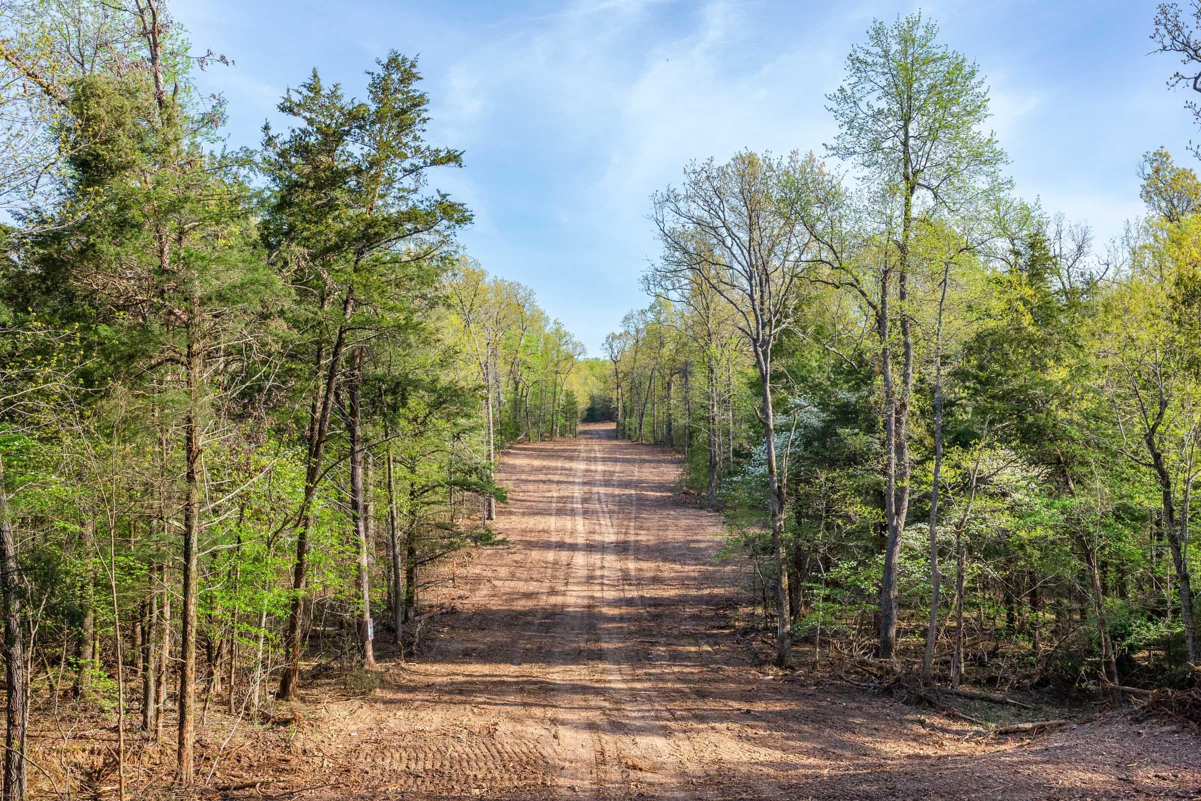  Autumnwood — Zero Credit Land owner financed land for sale in Fulton County, Arkansas photo 22