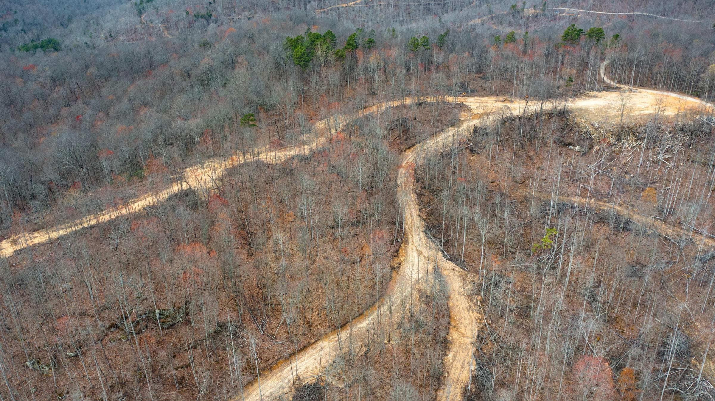 Creek Hollow Phase 1 — Zero Credit Land owner financed land for sale in Rockcastle County, Kentucky photo 67