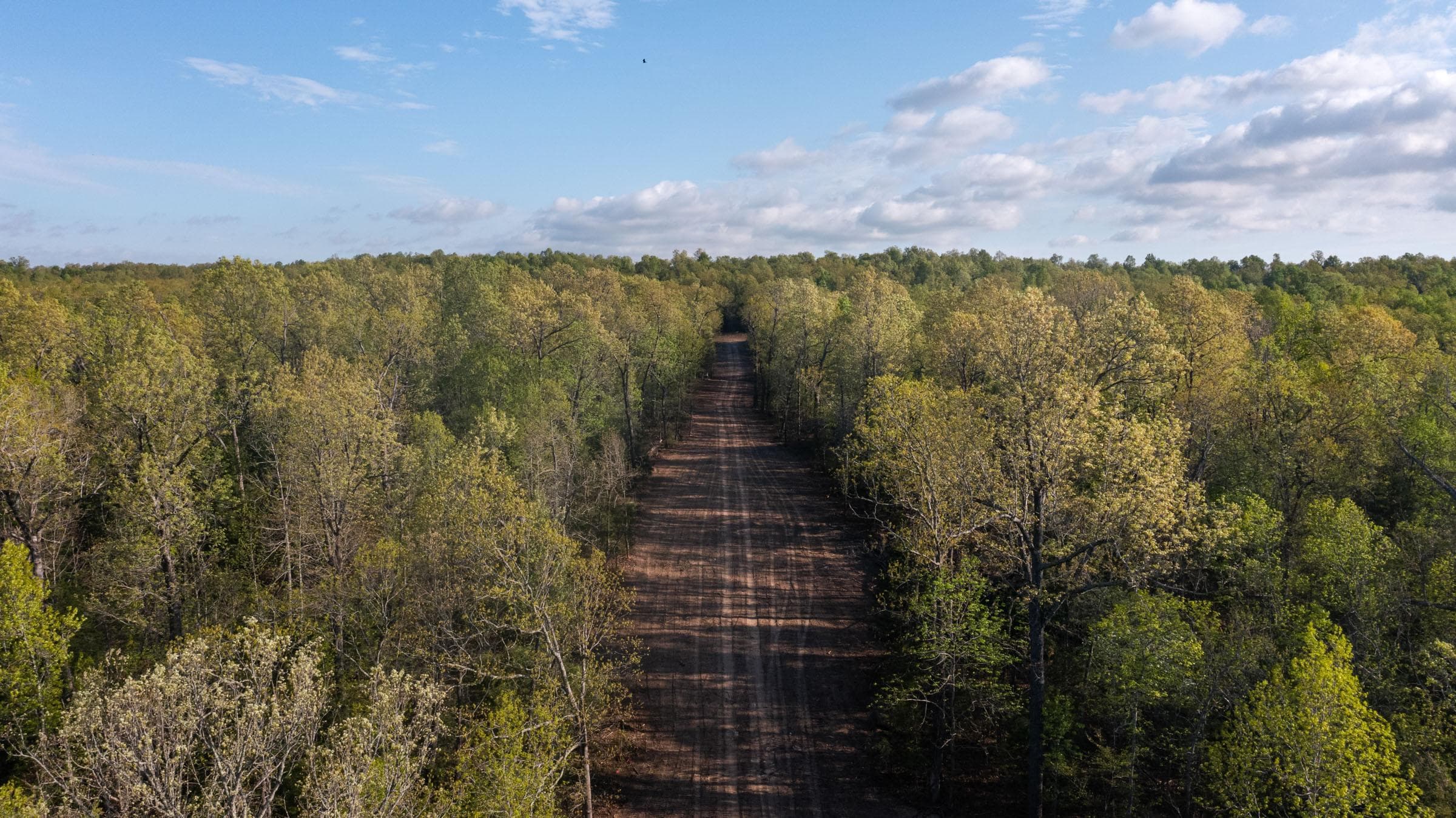  Autumnwood — Zero Credit Land owner financed land for sale in Fulton County, Arkansas photo 20