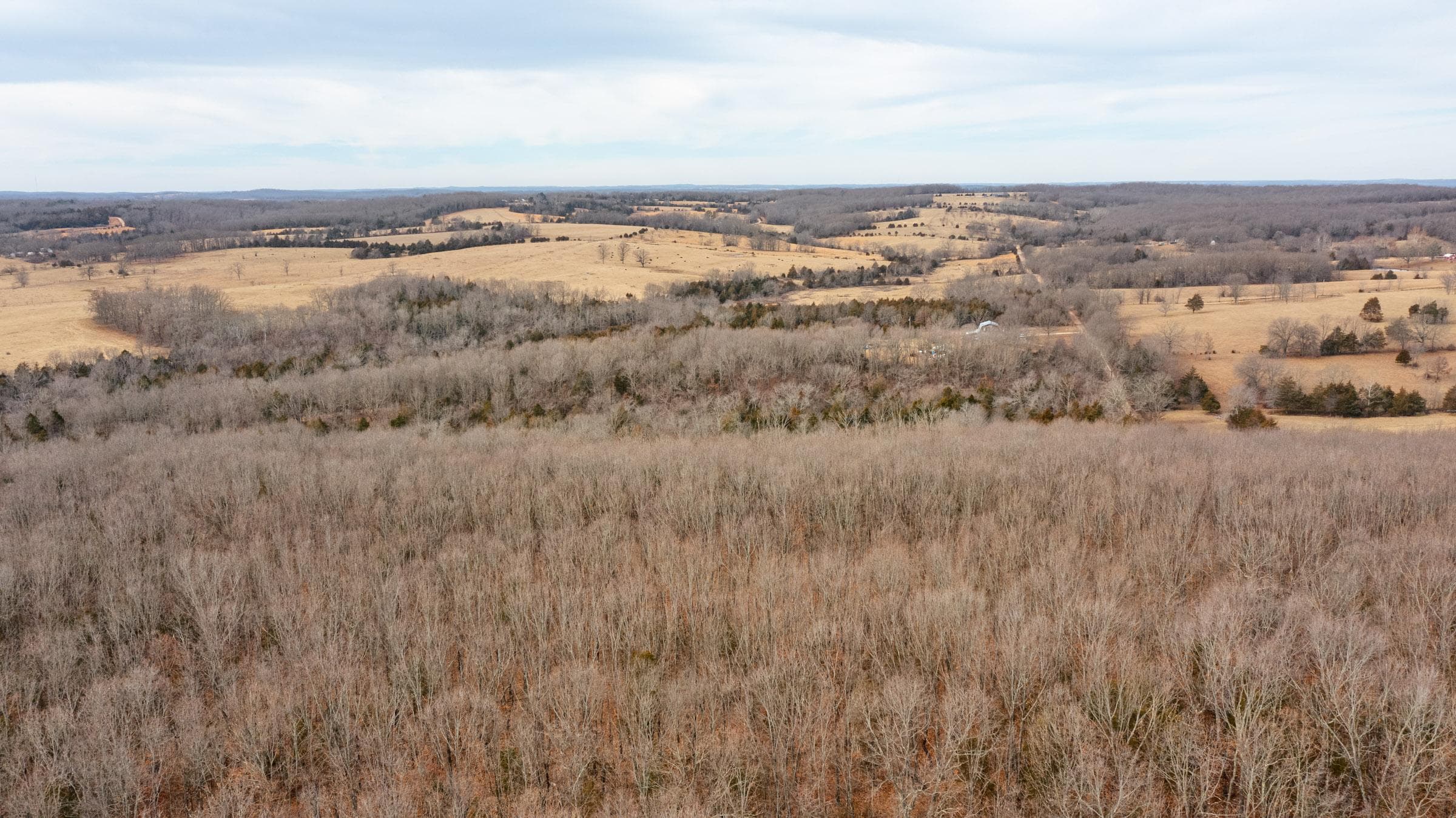 Forest Hill — Zero Credit Land owner financed land for sale in Texas County, Missouri photo 19