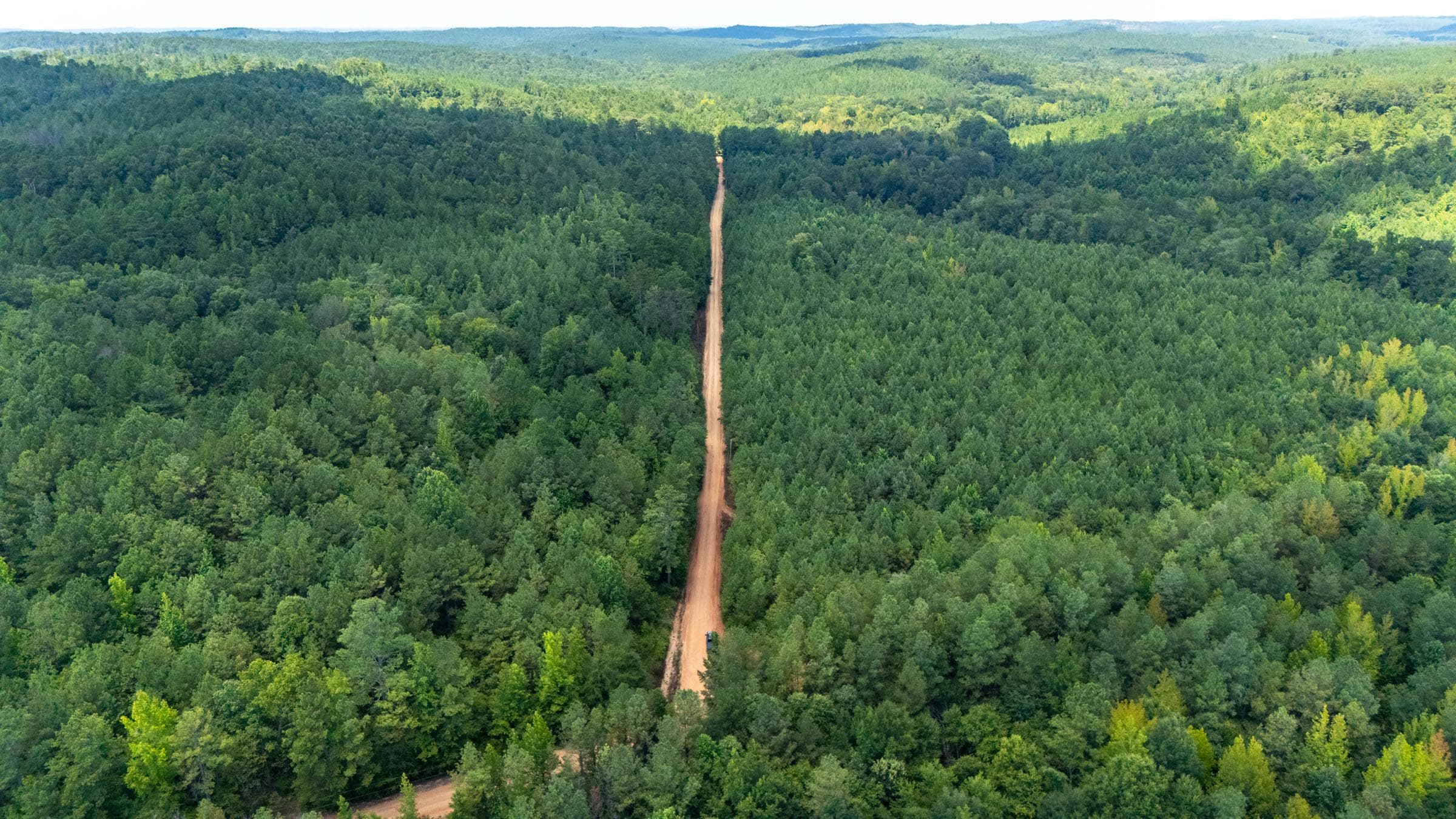 Olive Hill — Zero Credit Land owner financed land for sale in Lamar County, Alabama photo 26