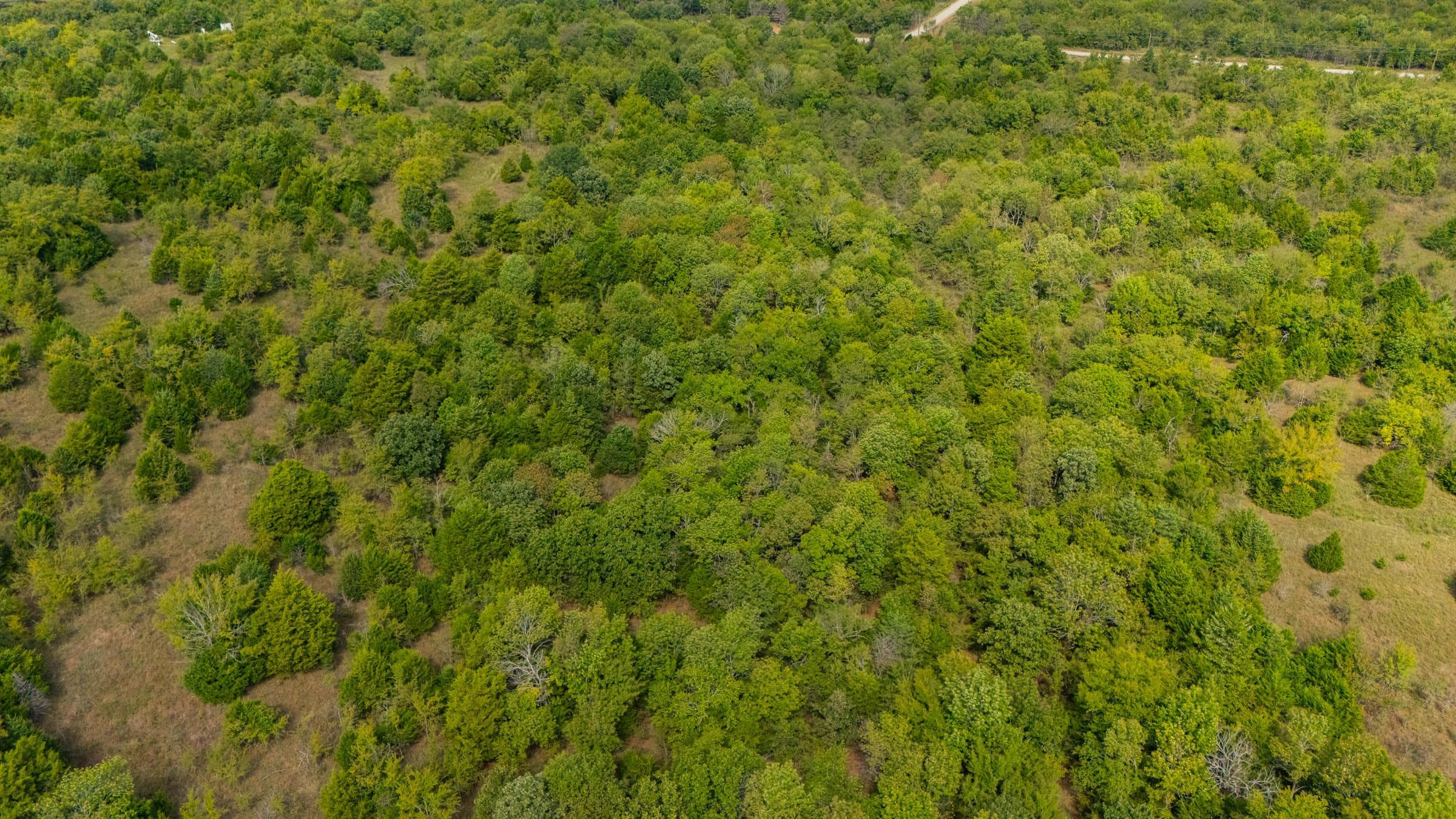  Reserves At Cattail Cove Phase II — Zero Credit Land owner financed land for sale in Pittsburg County, Oklahoma photo 113