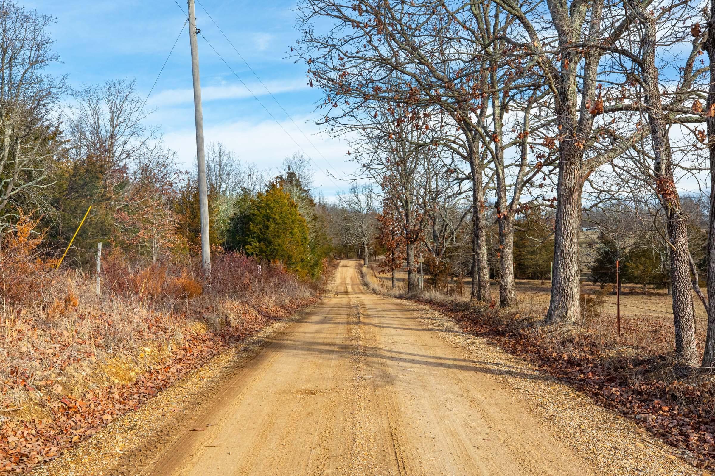 Forest Hill — Zero Credit Land owner financed land for sale in Texas County, Missouri photo 18