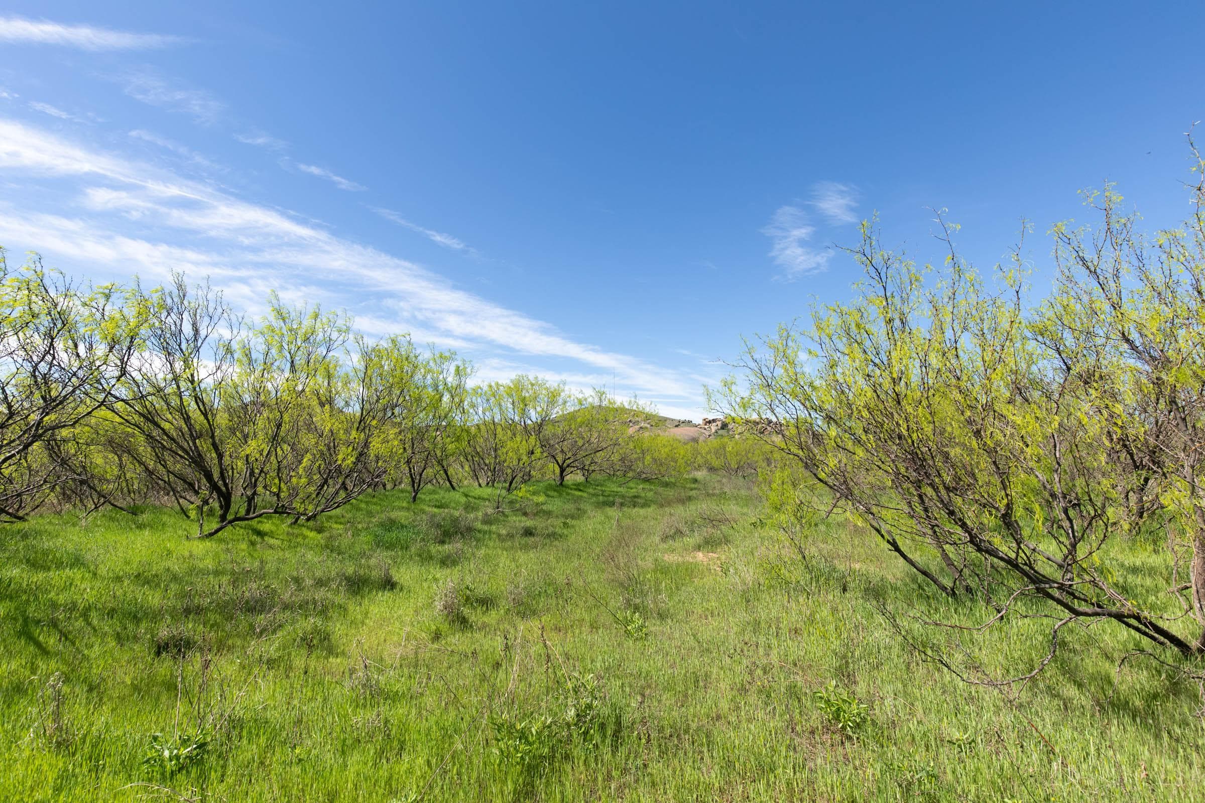 Hackberry Fields  — Zero Credit Land owner financed land for sale in Greer County, Oklahoma photo 95