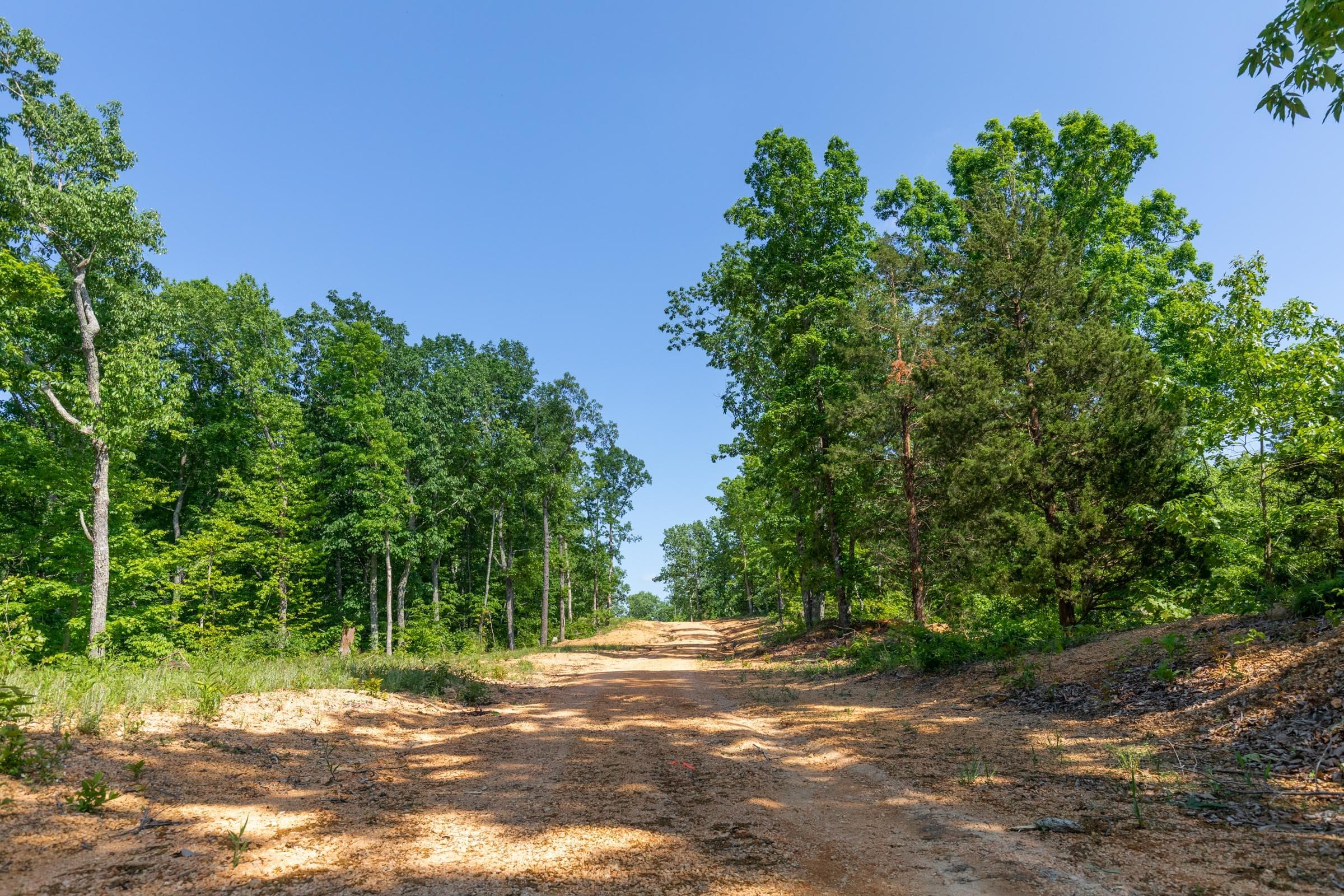 Cedar Creek — Zero Credit Land owner financed land for sale in Perry County, Tennessee photo 22