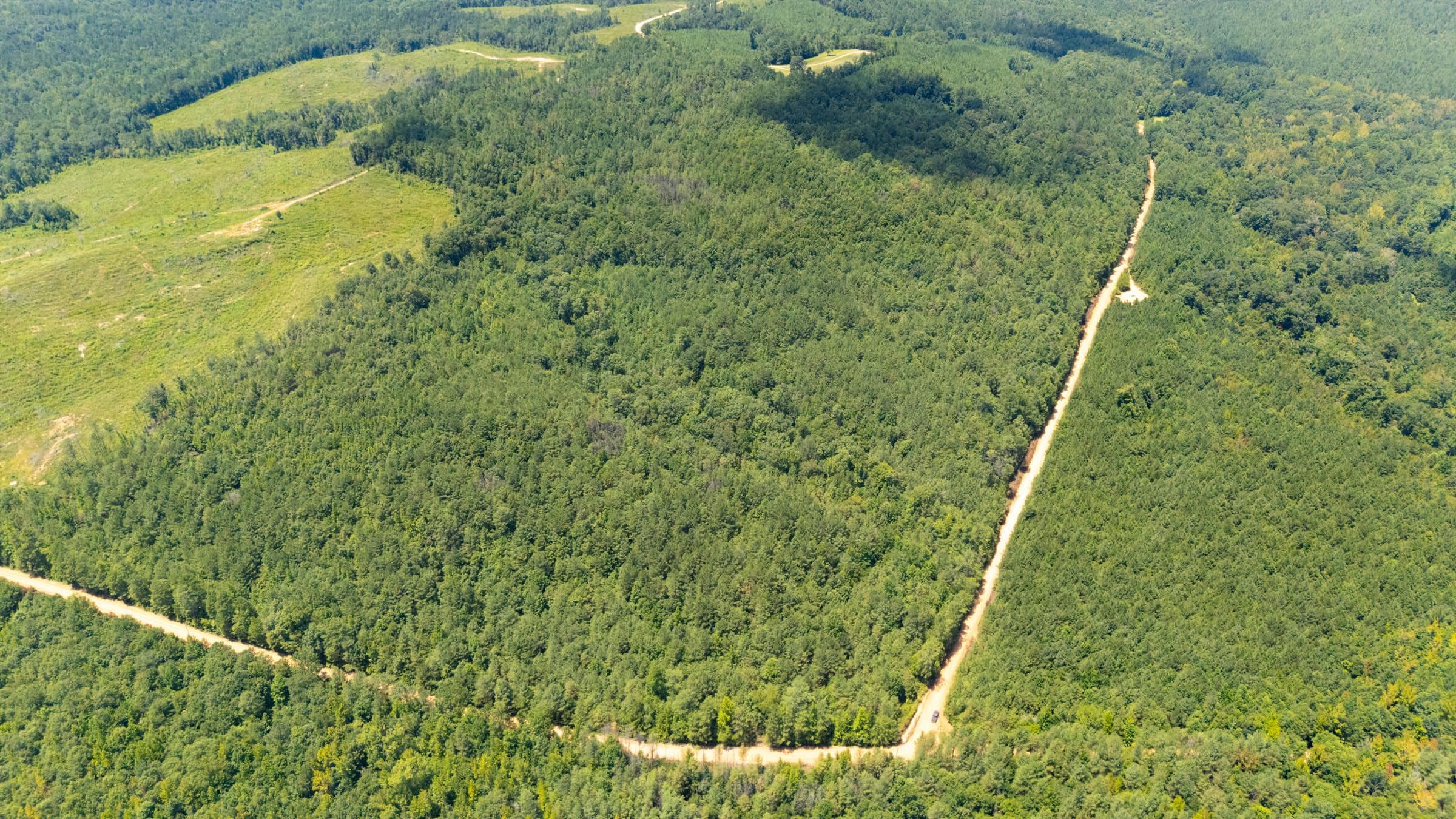 Olive Hill — Zero Credit Land owner financed land for sale in Lamar County, Alabama photo 24