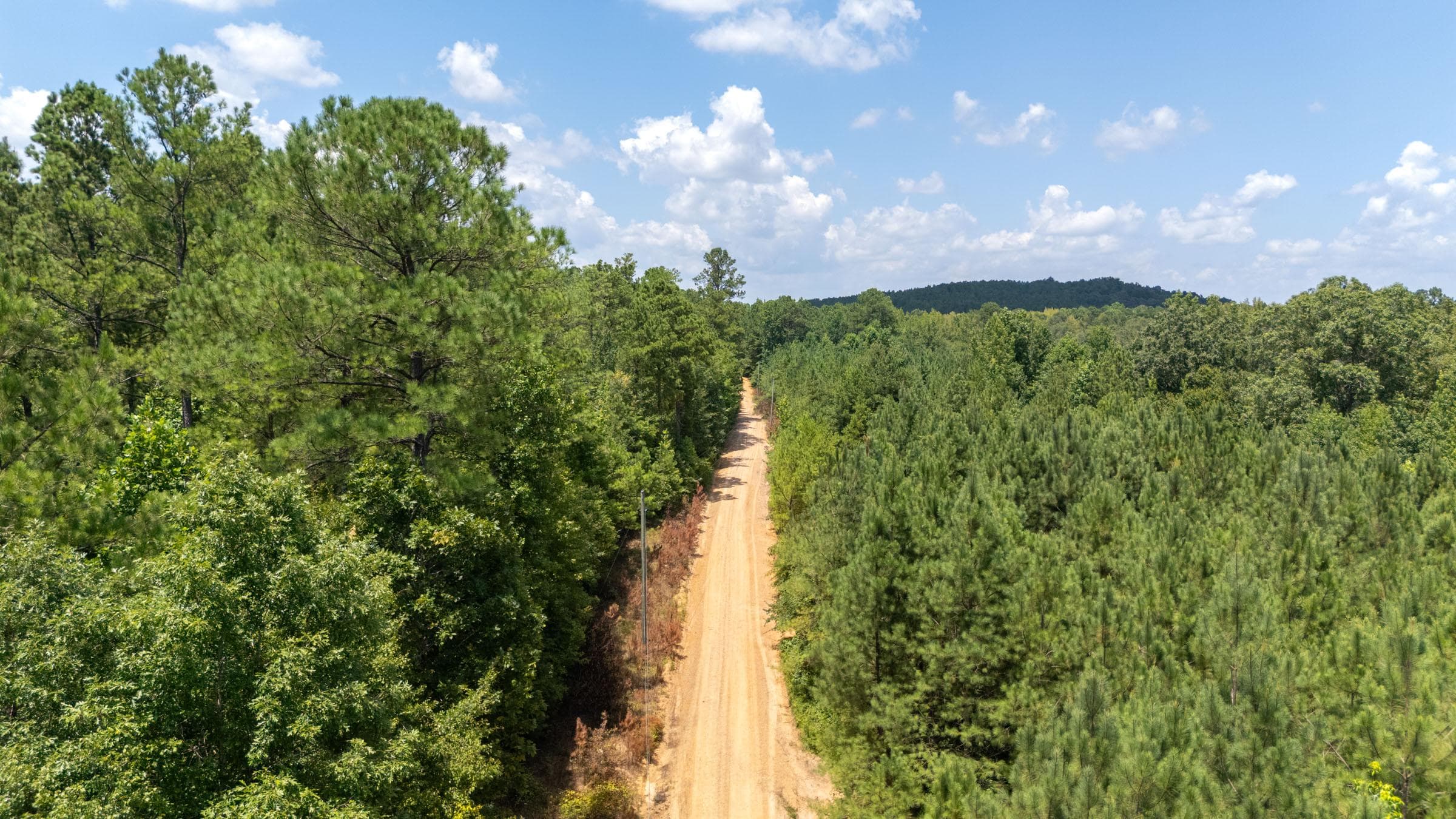 Olive Hill — Zero Credit Land owner financed land for sale in Lamar County, Alabama photo 25