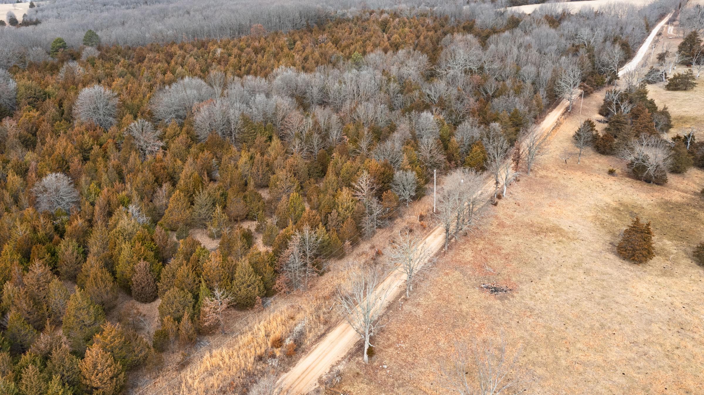 Forest Hill — Zero Credit Land owner financed land for sale in Texas County, Missouri photo 20