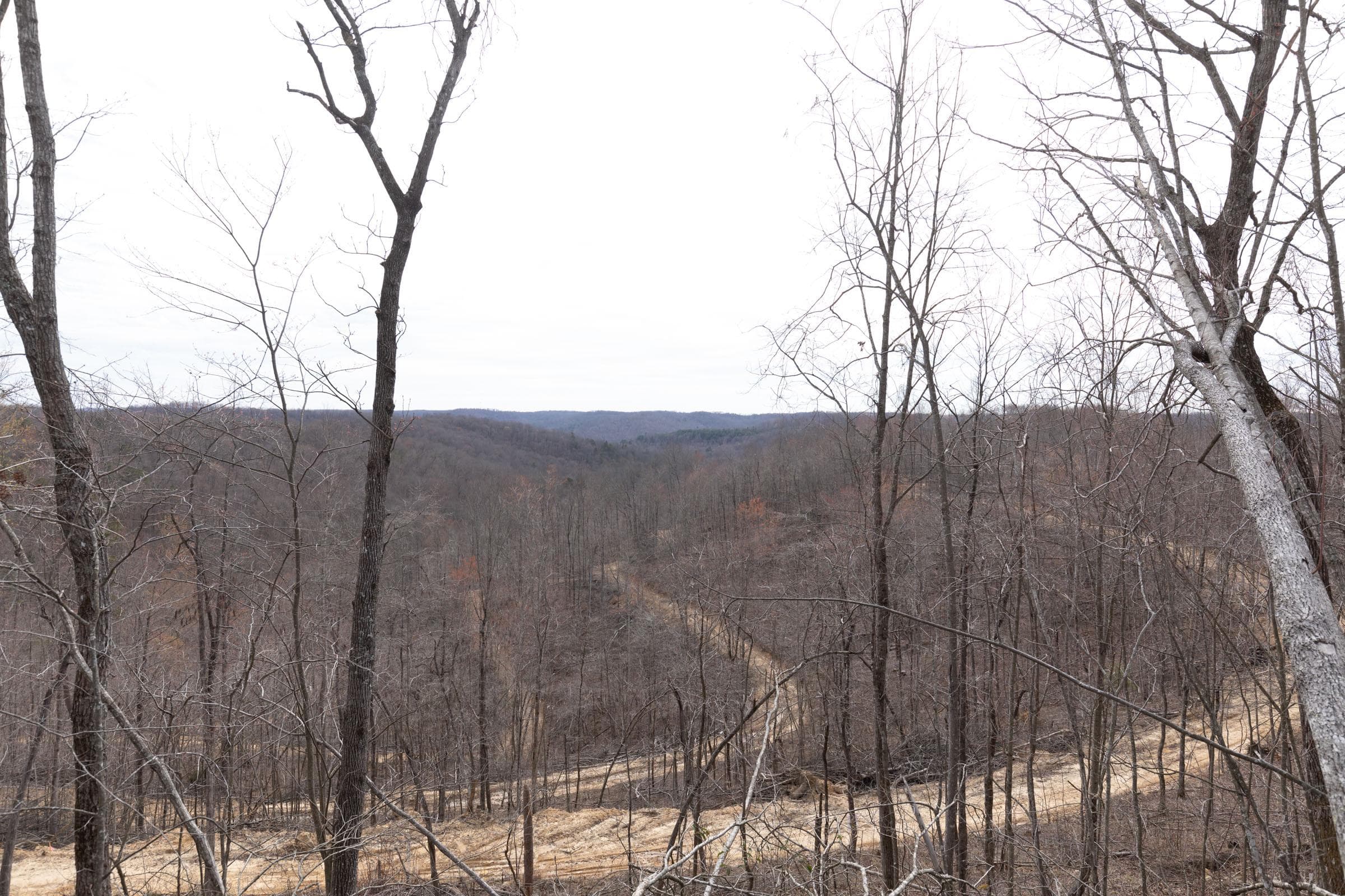 Creek Hollow Phase 1 — Zero Credit Land owner financed land for sale in Rockcastle County, Kentucky photo 66