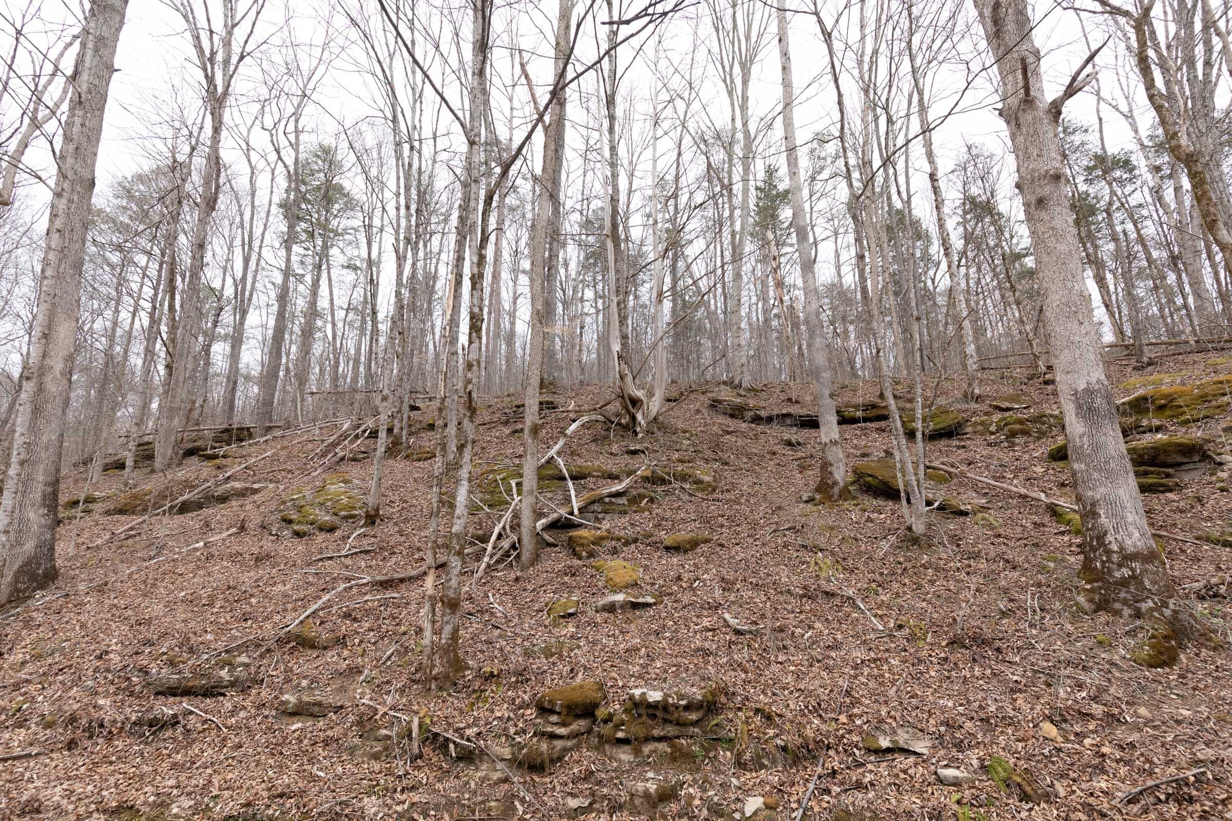 Creek Hollow Phase 1 — Zero Credit Land owner financed land for sale in Rockcastle County, Kentucky photo 70