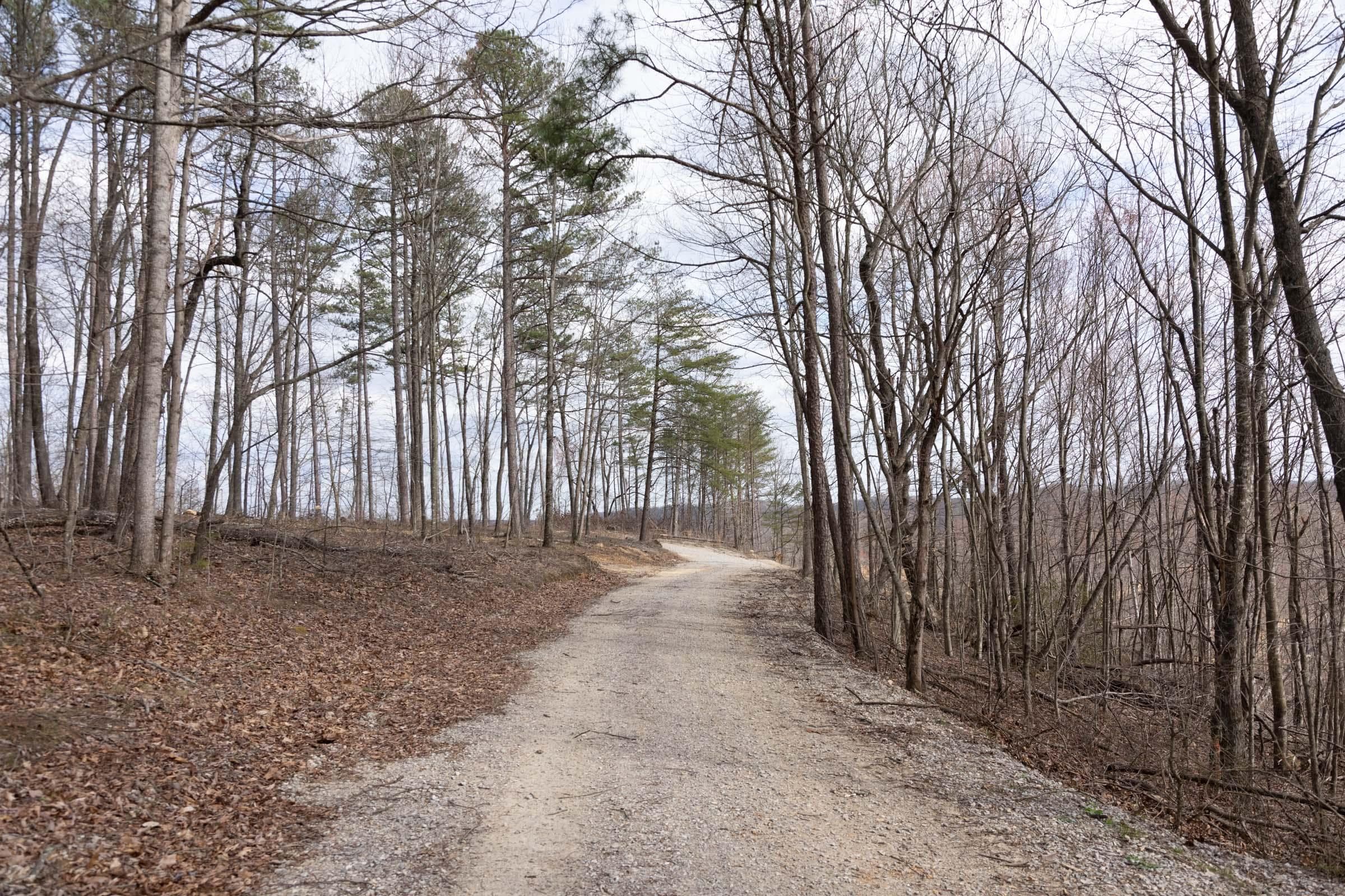 Creek Hollow Phase 1 — Zero Credit Land owner financed land for sale in Rockcastle County, Kentucky photo 65