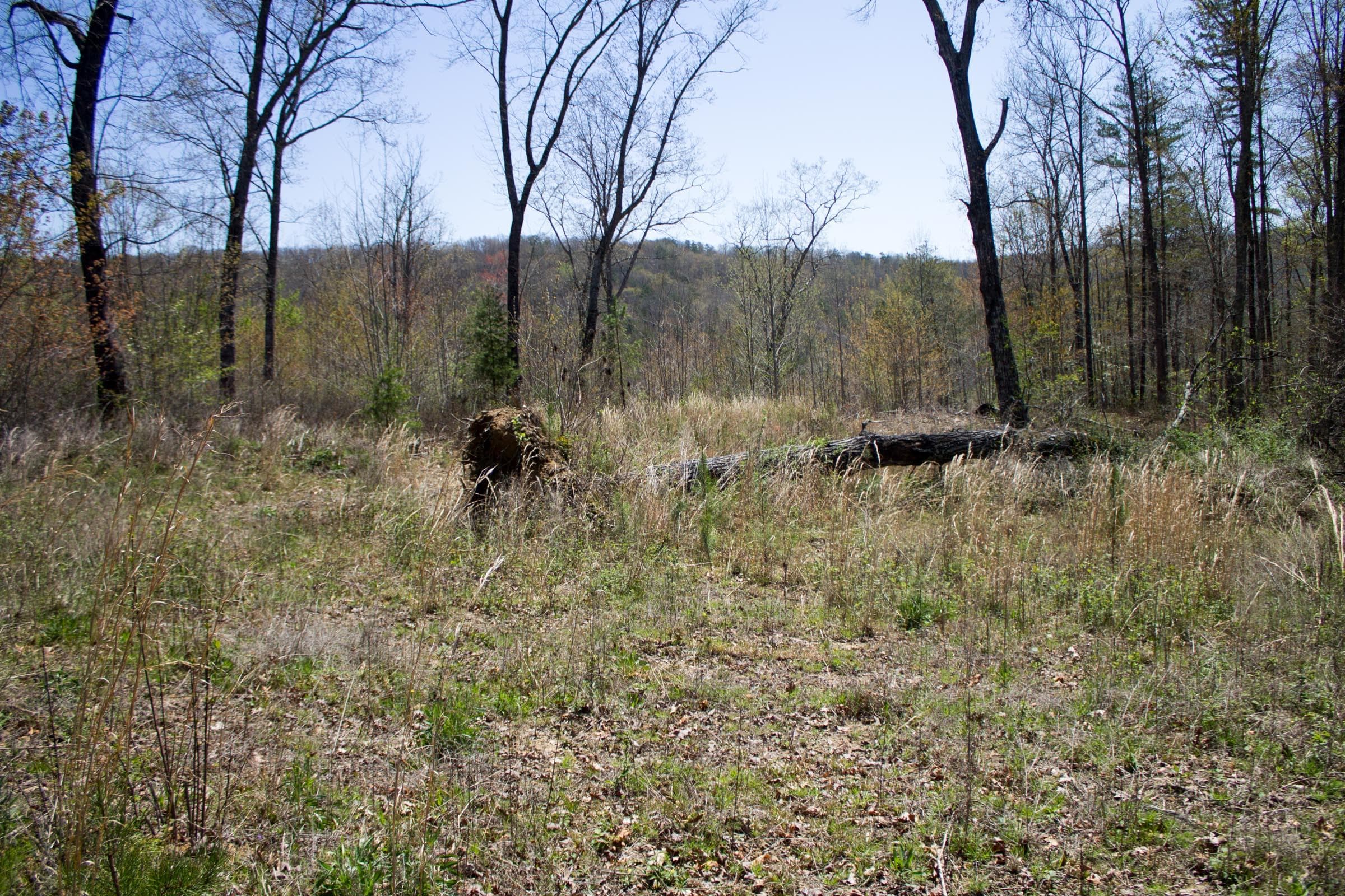 Hidden Hills — Zero Credit Land owner financed land for sale in Sequatchie County, Tennessee photo 2