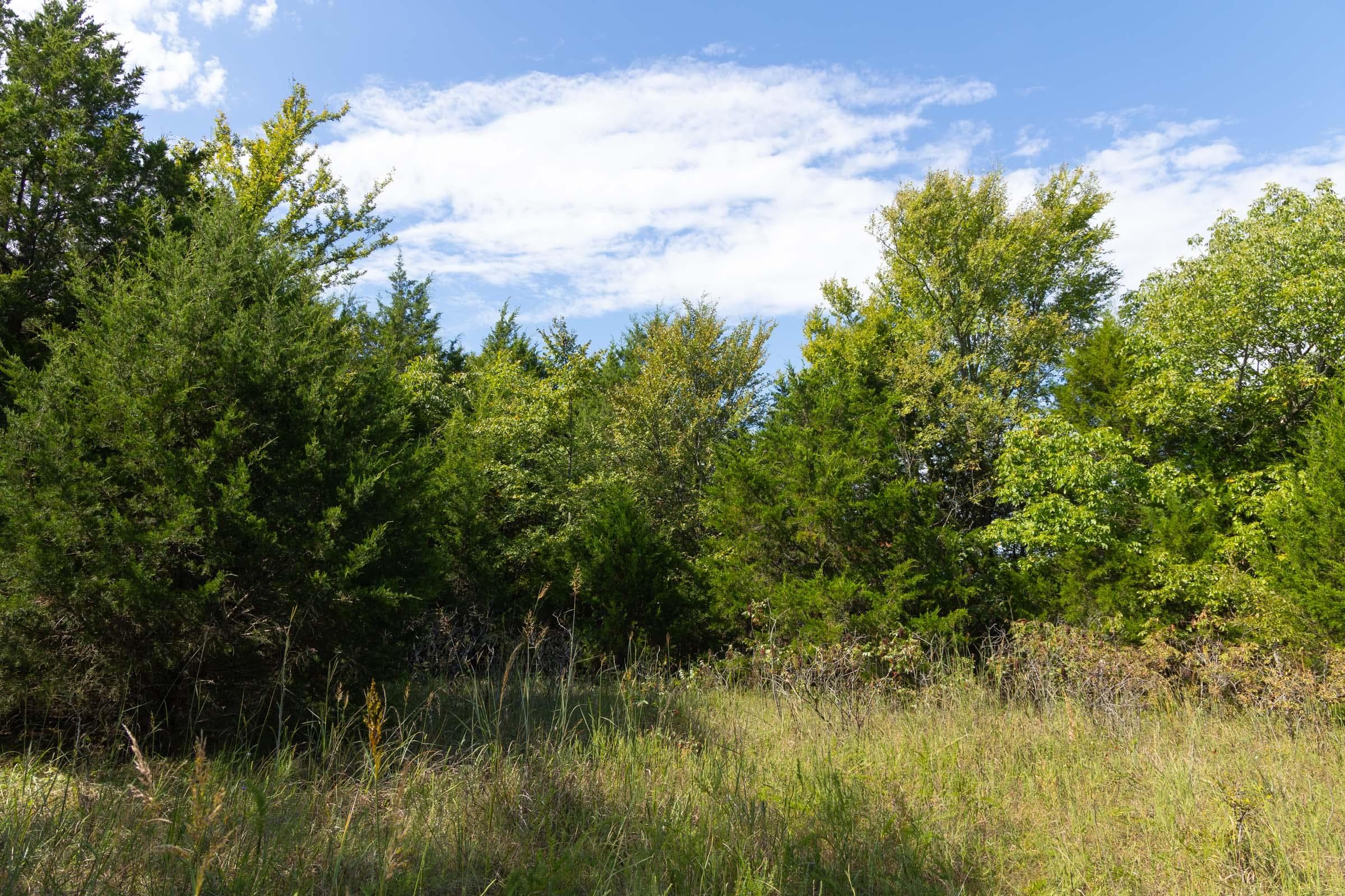  Reserves At Cattail Cove Phase II — Zero Credit Land owner financed land for sale in Pittsburg County, Oklahoma photo 147
