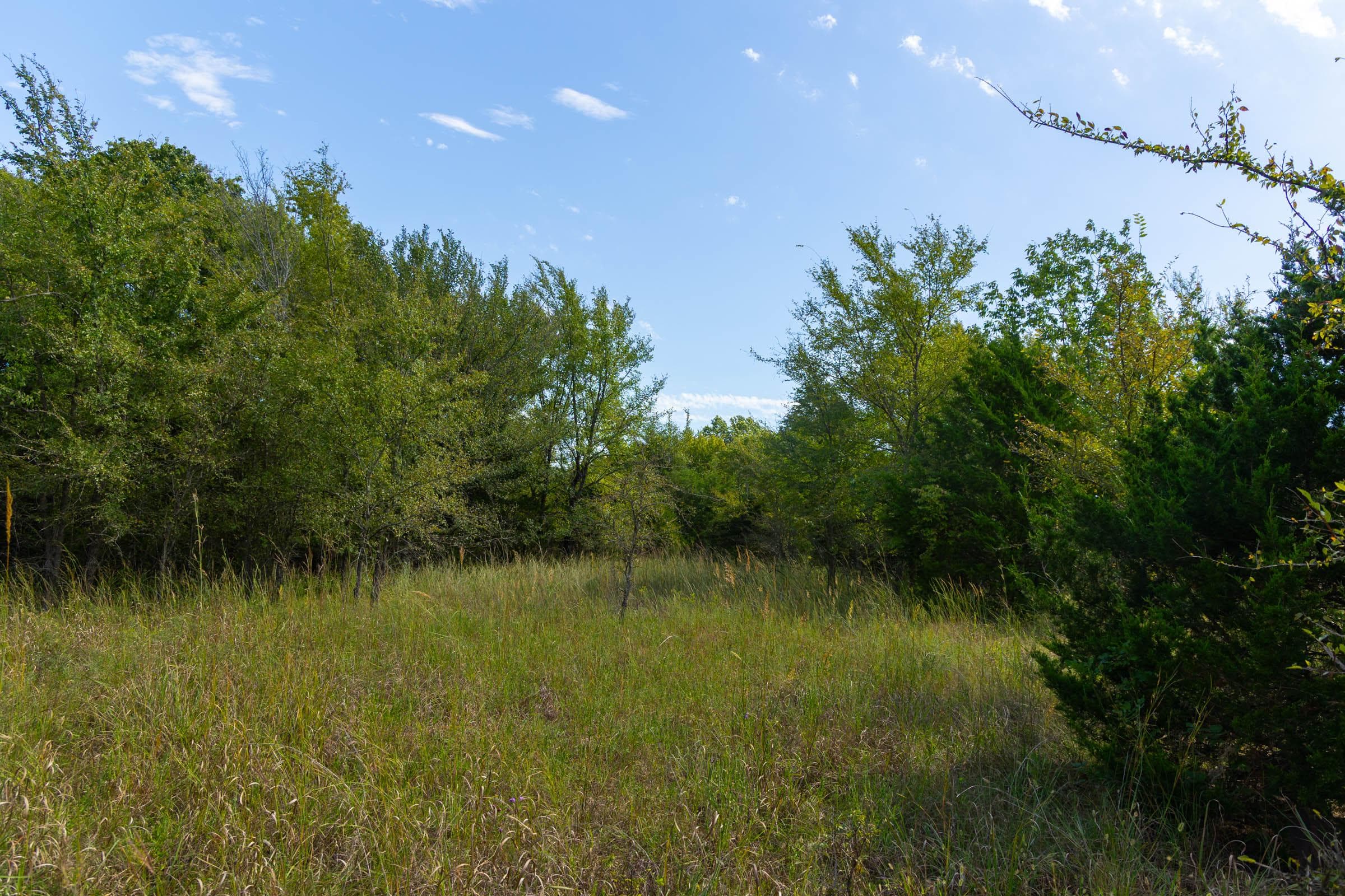  Reserves At Cattail Cove Phase II — Zero Credit Land owner financed land for sale in Pittsburg County, Oklahoma photo 148