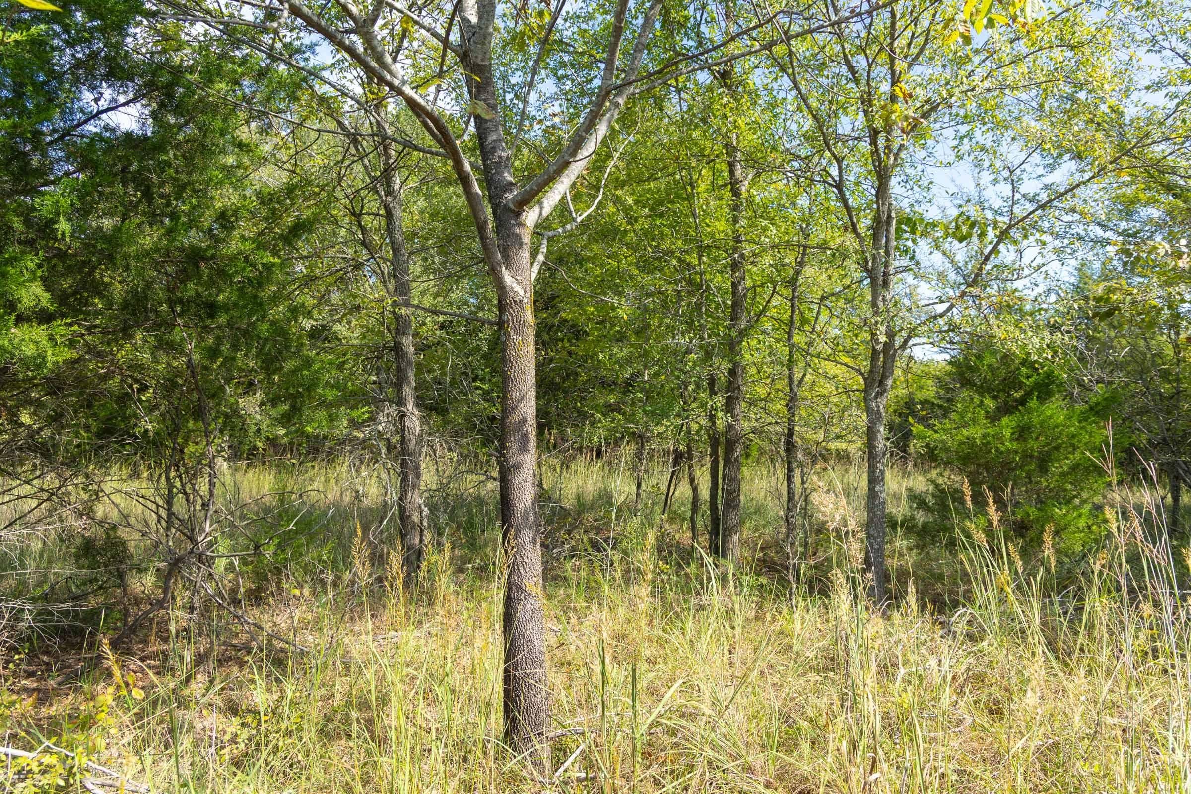  Reserves At Cattail Cove Phase II — Zero Credit Land owner financed land for sale in Pittsburg County, Oklahoma photo 150