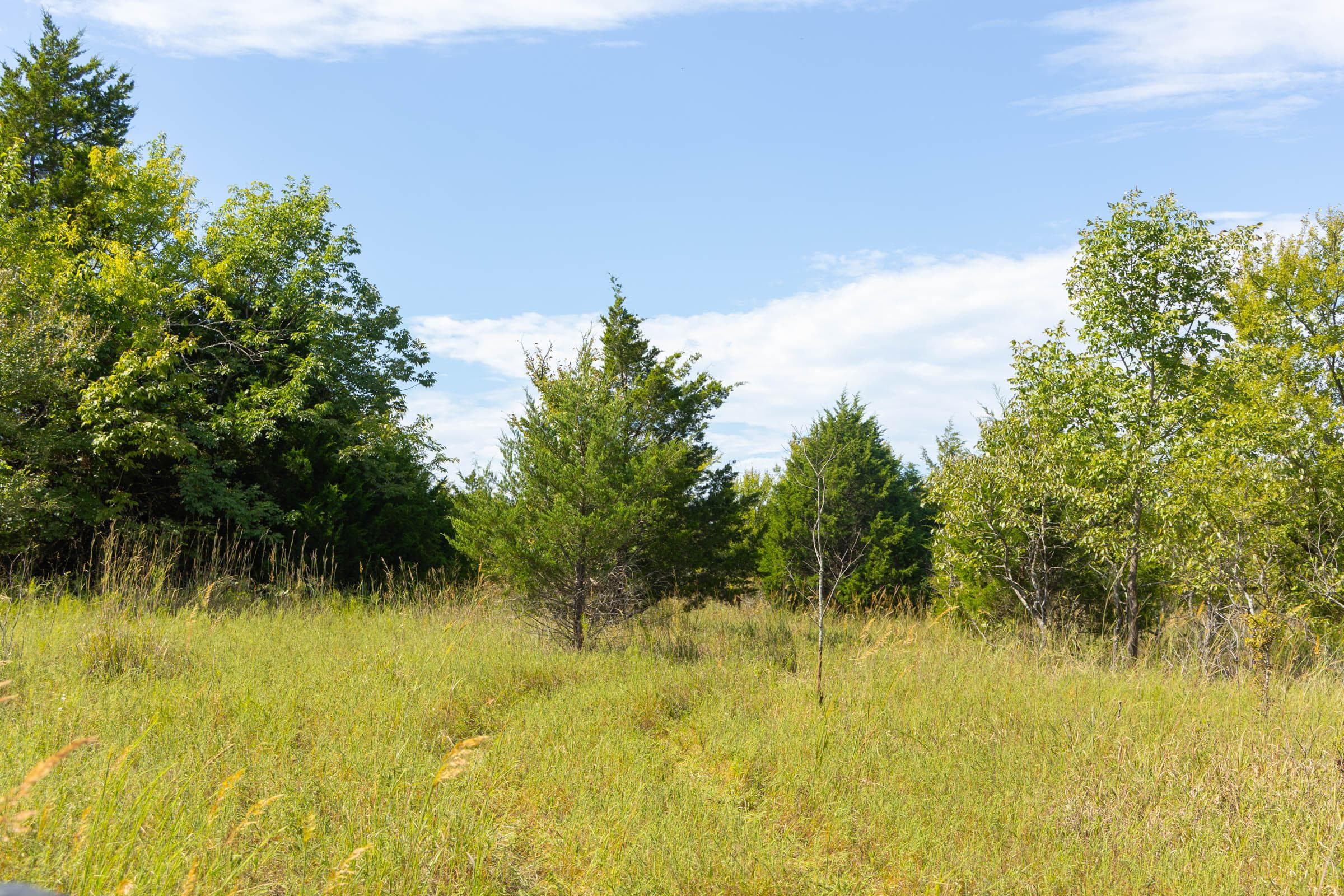  Reserves At Cattail Cove Phase II — Zero Credit Land owner financed land for sale in Pittsburg County, Oklahoma photo 152