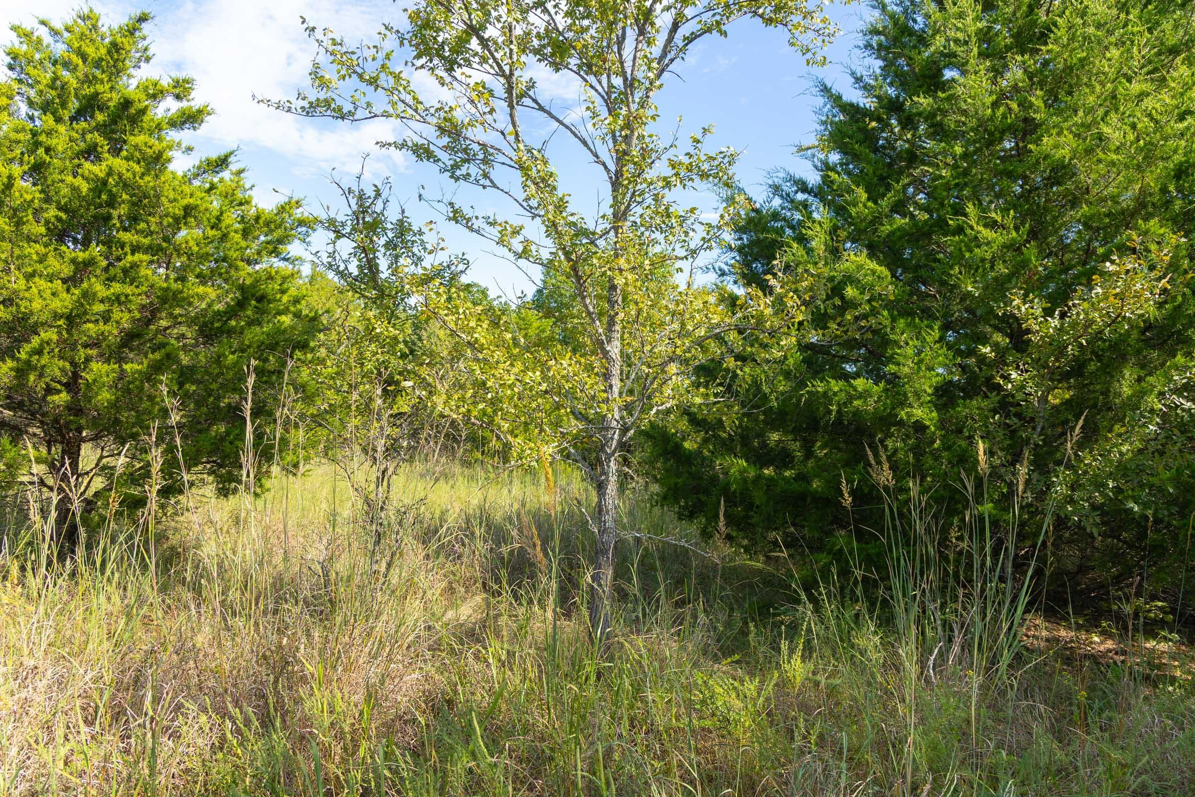  Reserves At Cattail Cove Phase II — Zero Credit Land owner financed land for sale in Pittsburg County, Oklahoma photo 208