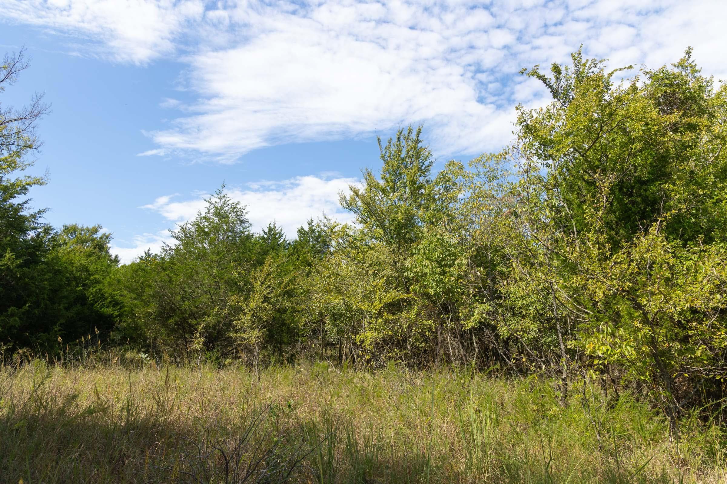  Reserves At Cattail Cove Phase II — Zero Credit Land owner financed land for sale in Pittsburg County, Oklahoma photo 204