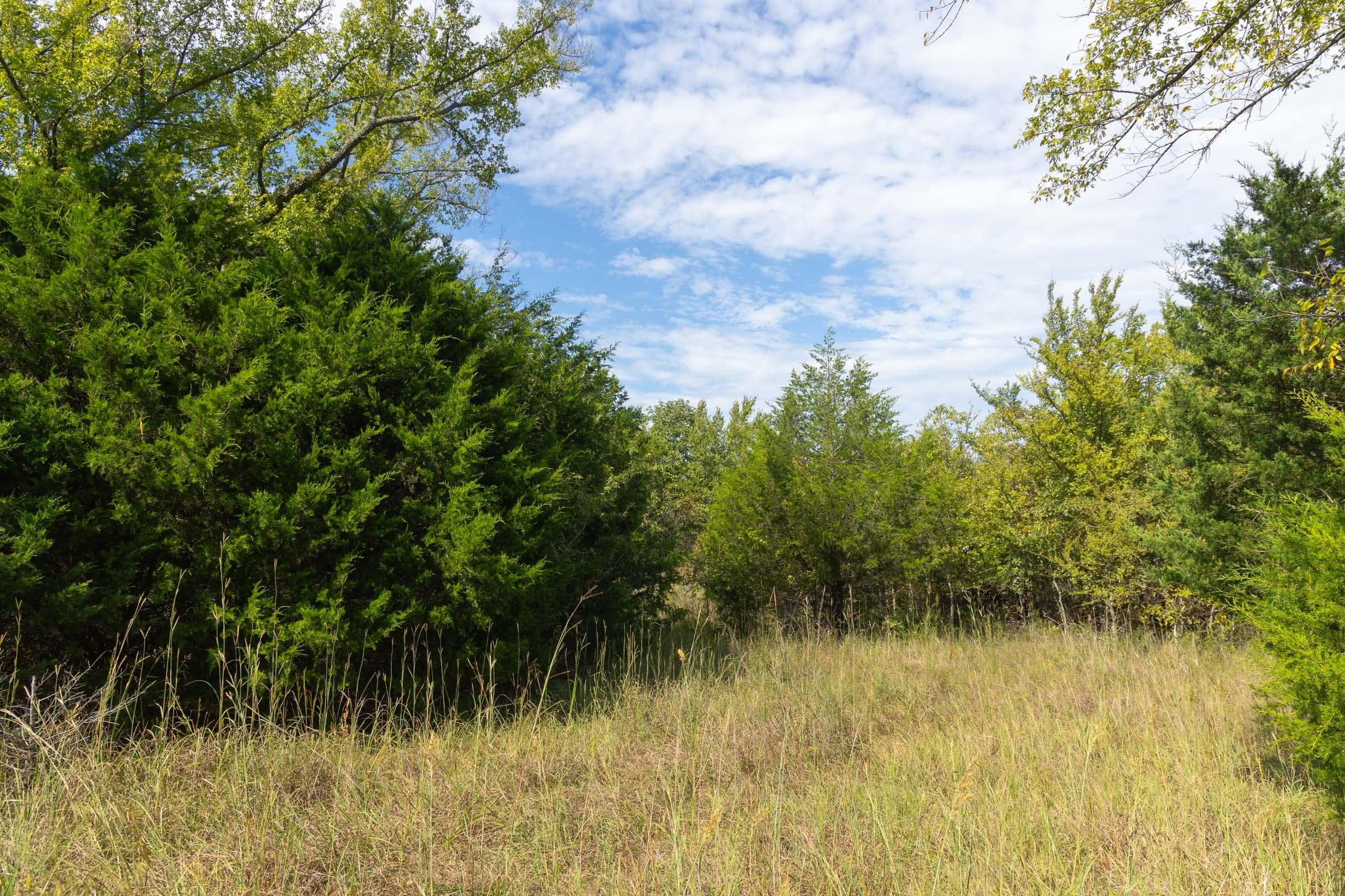  Reserves At Cattail Cove Phase II — Zero Credit Land owner financed land for sale in Pittsburg County, Oklahoma photo 4