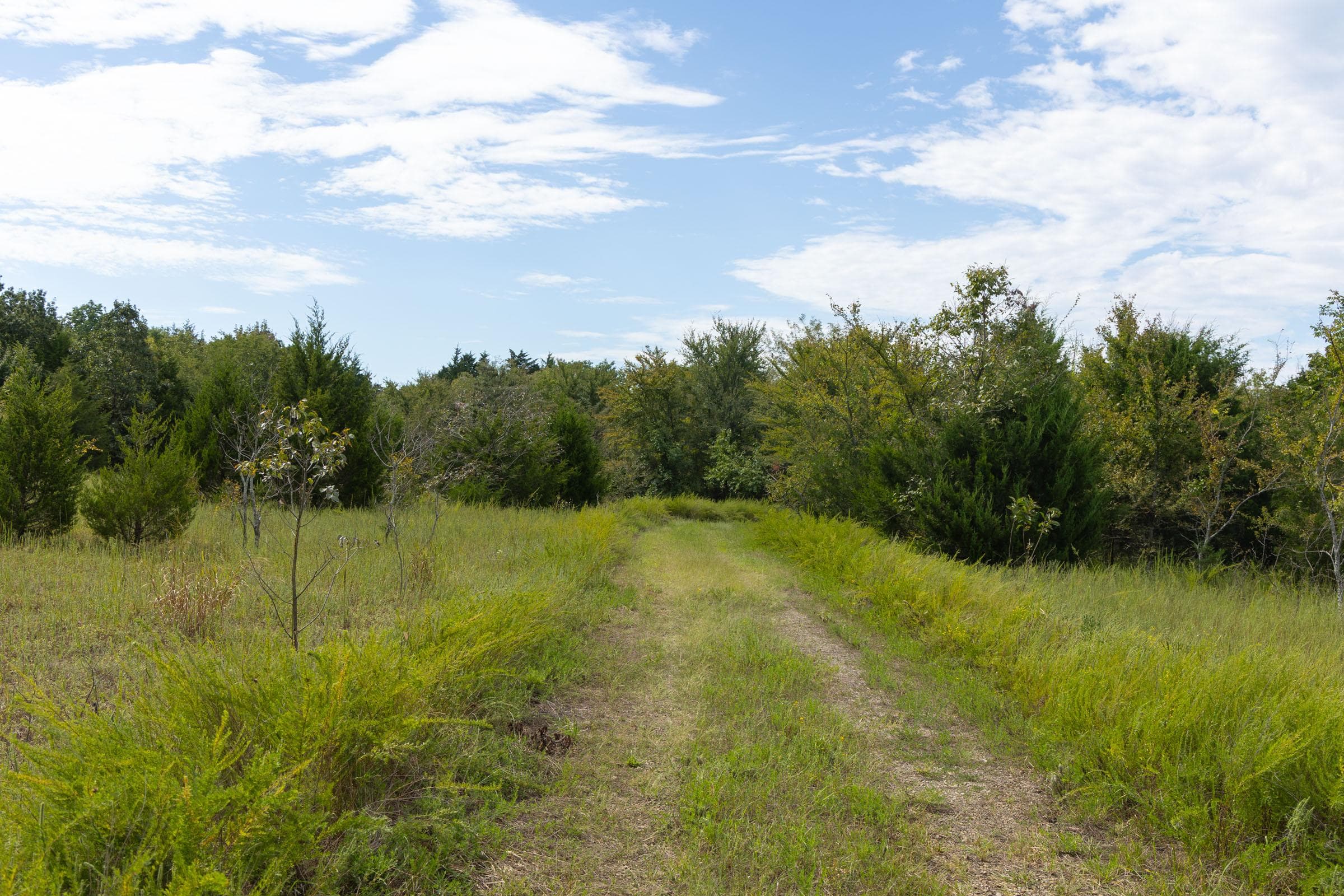  Reserves At Cattail Cove Phase II — Zero Credit Land owner financed land for sale in Pittsburg County, Oklahoma photo 6