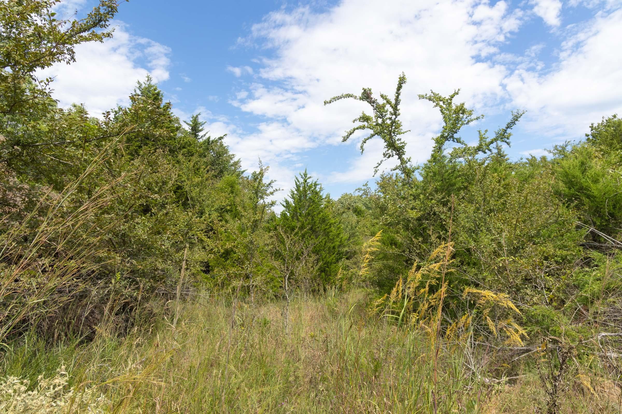  Reserves At Cattail Cove Phase II — Zero Credit Land owner financed land for sale in Pittsburg County, Oklahoma photo 141