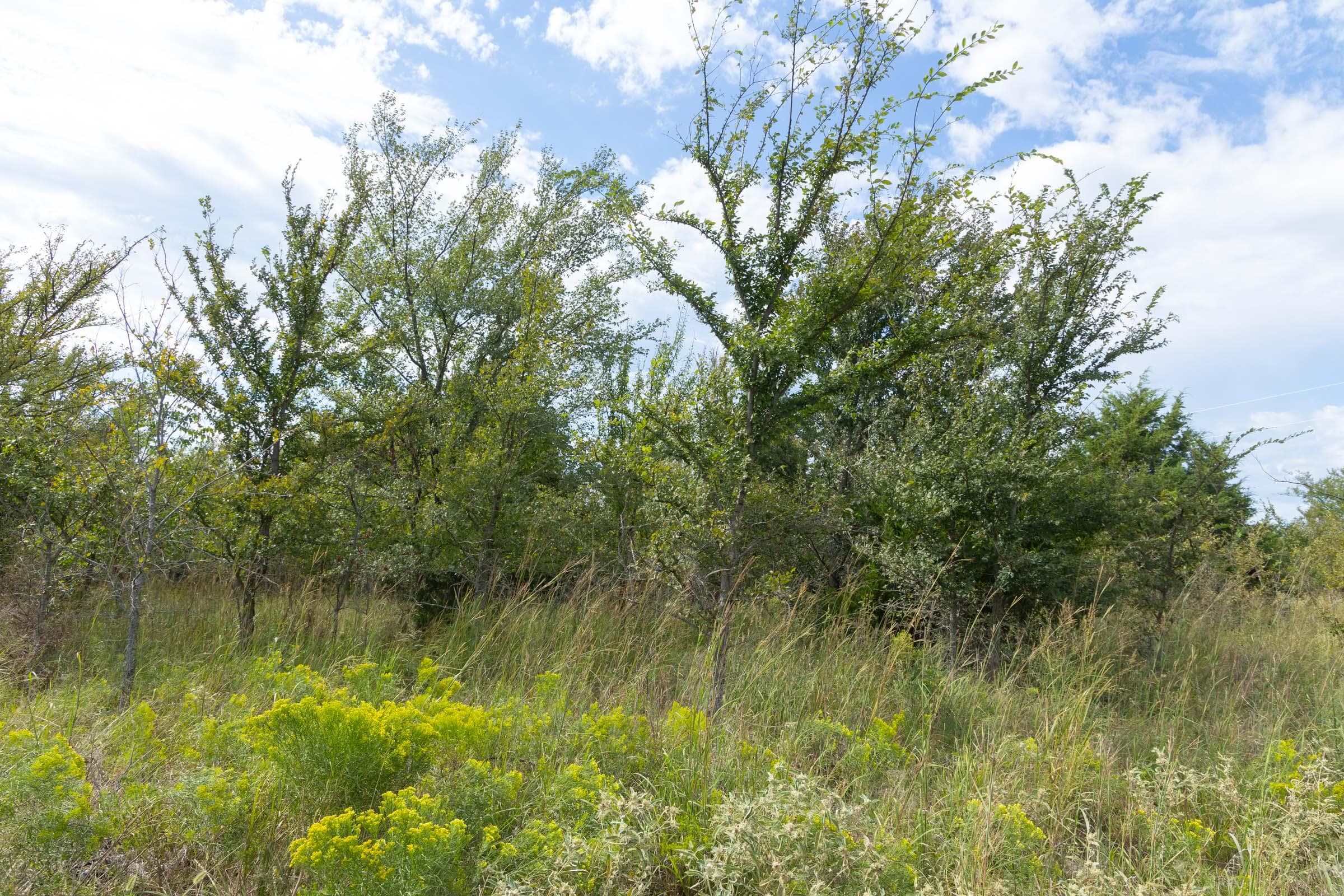  Reserves At Cattail Cove Phase II — Zero Credit Land owner financed land for sale in Pittsburg County, Oklahoma photo 241