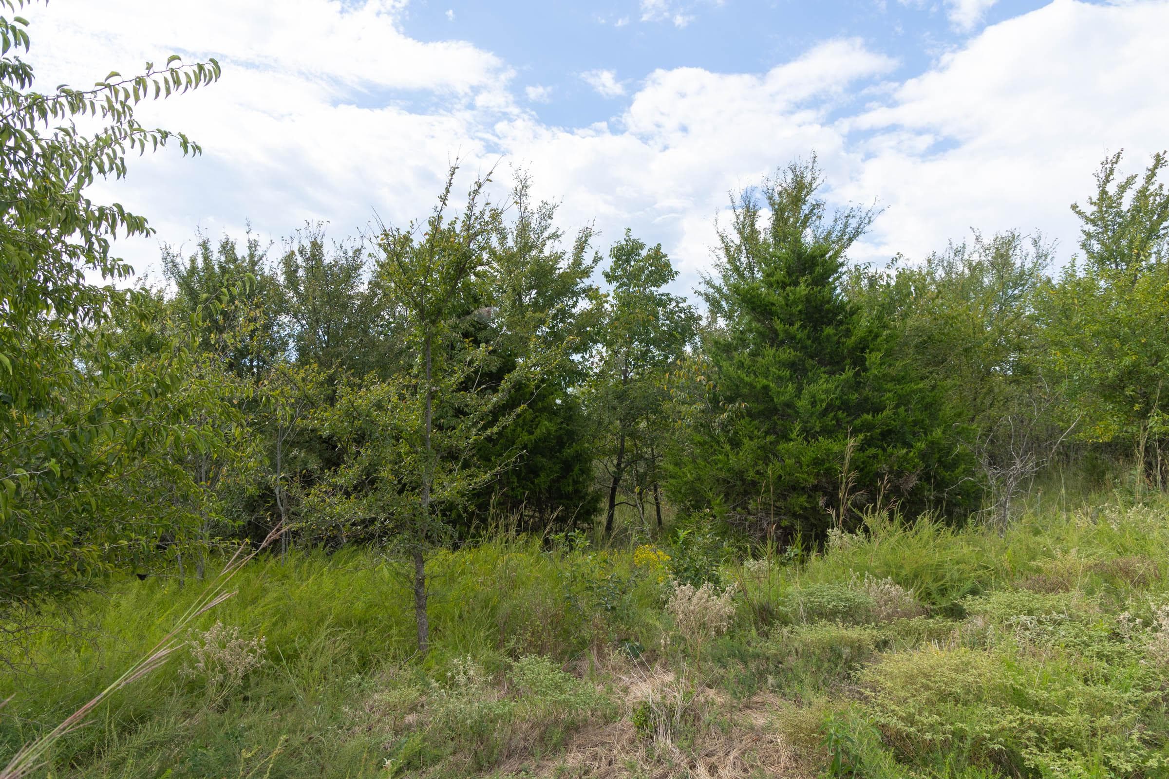  Reserves At Cattail Cove Phase II — Zero Credit Land owner financed land for sale in Pittsburg County, Oklahoma photo 242