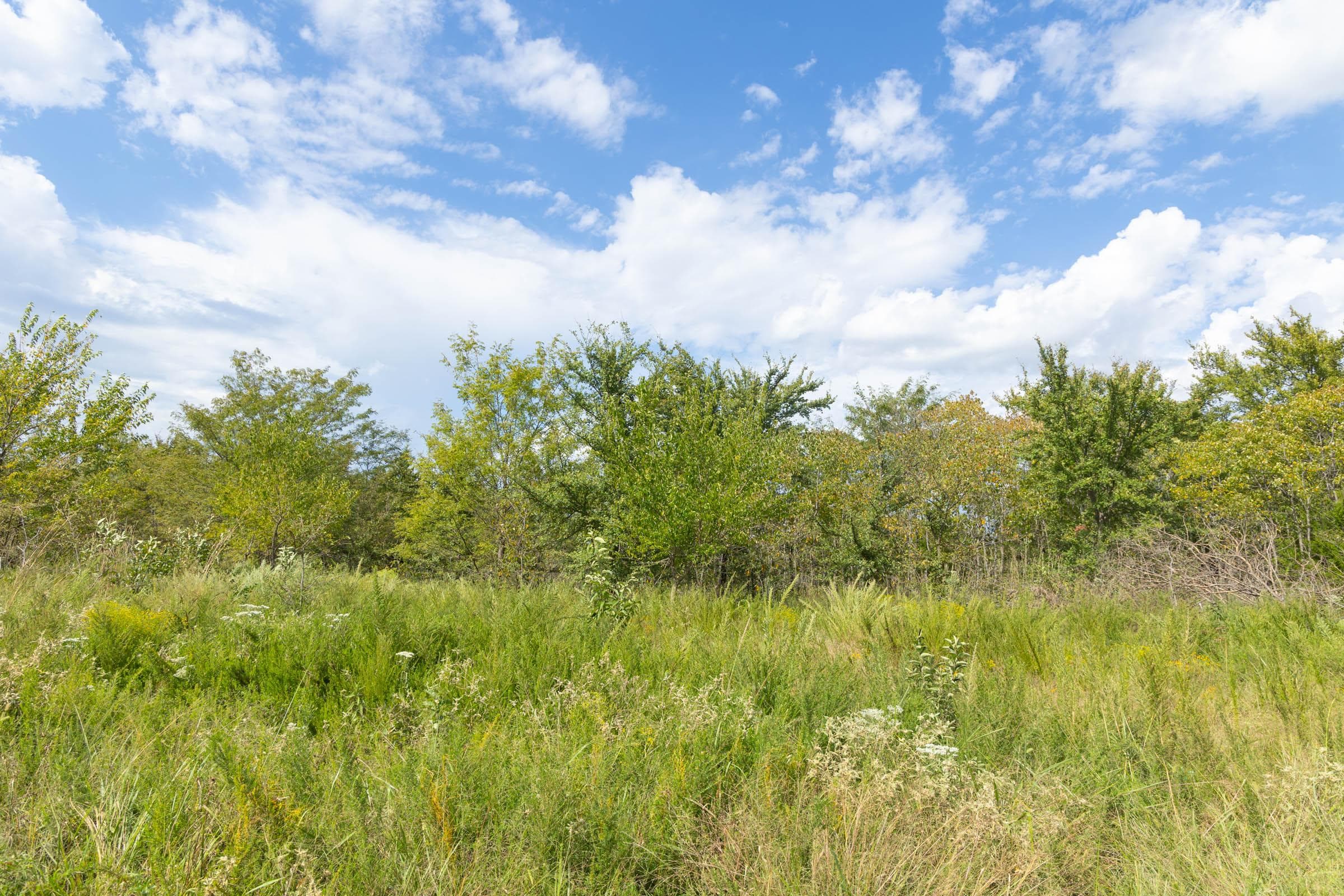  Reserves At Cattail Cove Phase II — Zero Credit Land owner financed land for sale in Pittsburg County, Oklahoma photo 240