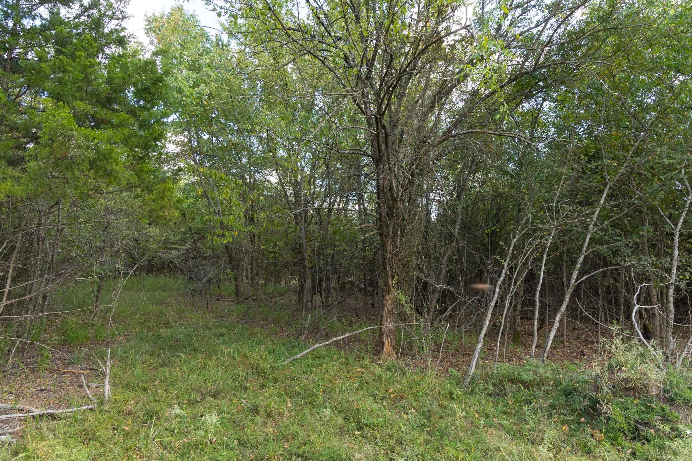  Reserves At Cattail Cove Phase II — Zero Credit Land owner financed land for sale in Pittsburg County, Oklahoma photo 210