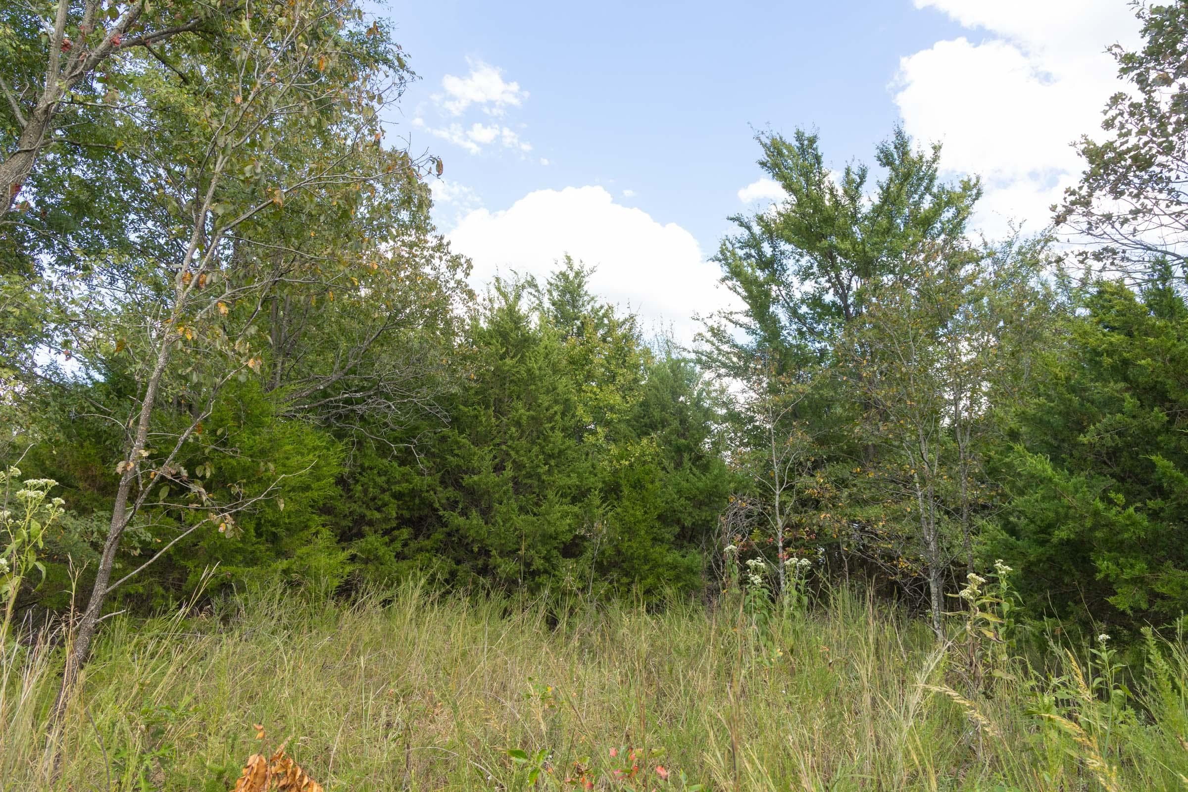  Reserves At Cattail Cove Phase II — Zero Credit Land owner financed land for sale in Pittsburg County, Oklahoma photo 209