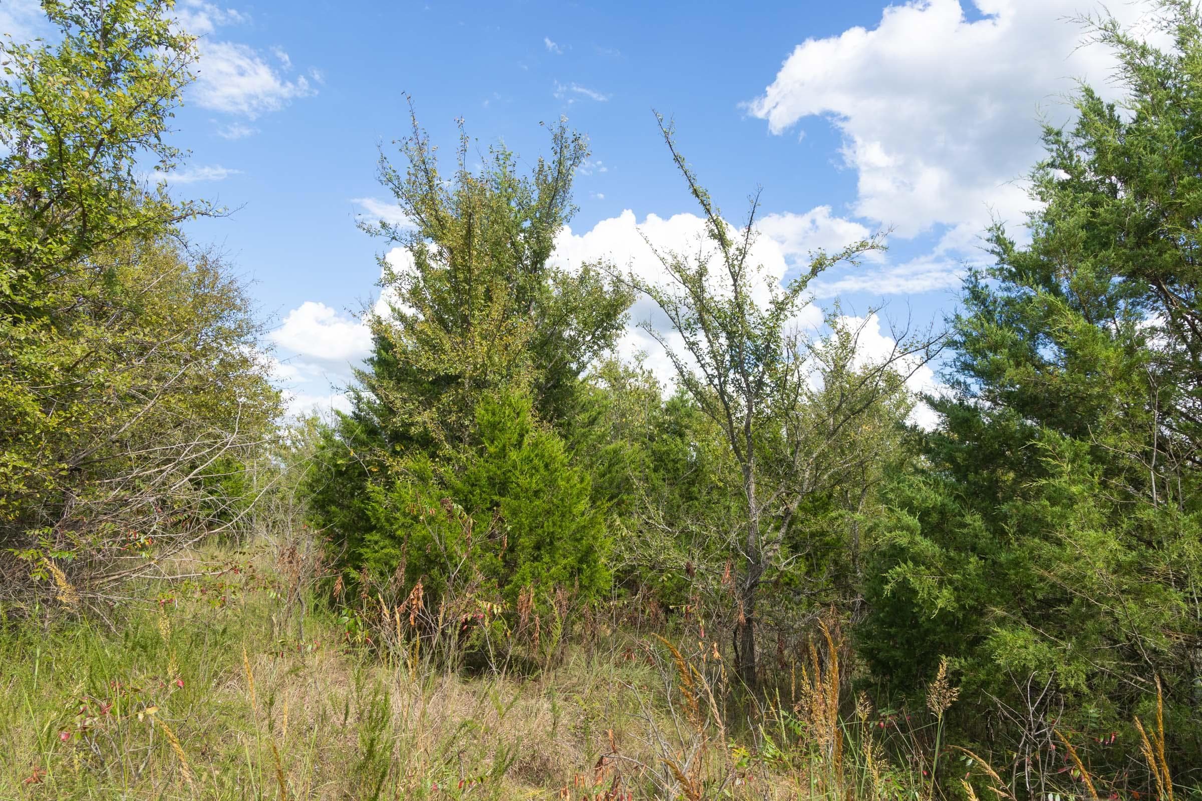  Reserves At Cattail Cove Phase II — Zero Credit Land owner financed land for sale in Pittsburg County, Oklahoma photo 212