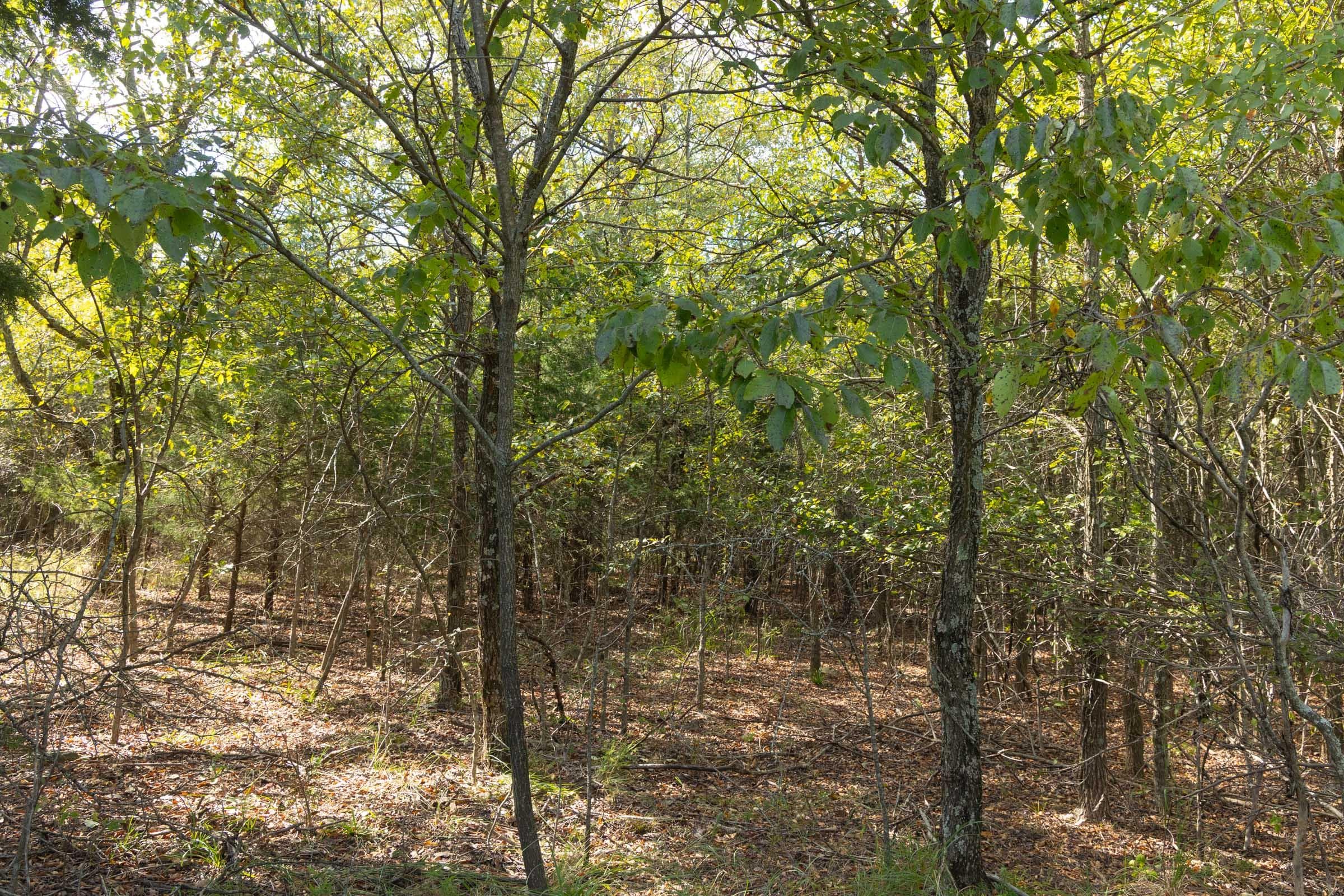  Reserves At Cattail Cove Phase II — Zero Credit Land owner financed land for sale in Pittsburg County, Oklahoma photo 140