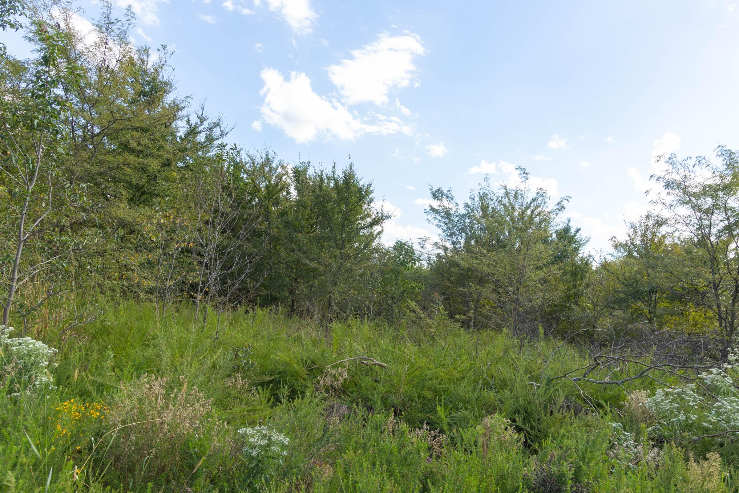  Reserves At Cattail Cove Phase II — Zero Credit Land owner financed land for sale in Pittsburg County, Oklahoma photo 144
