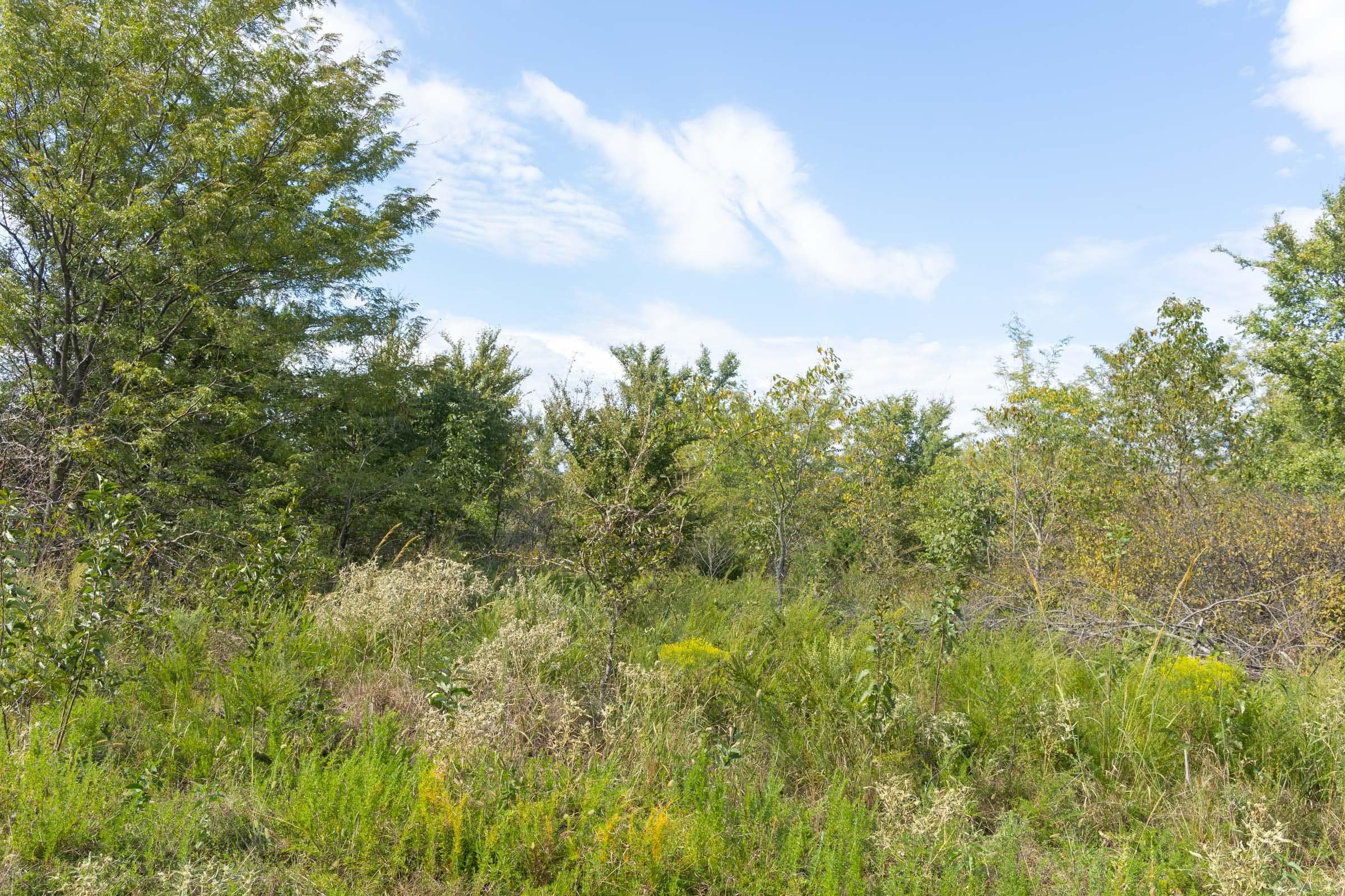  Reserves At Cattail Cove Phase II — Zero Credit Land owner financed land for sale in Pittsburg County, Oklahoma photo 146