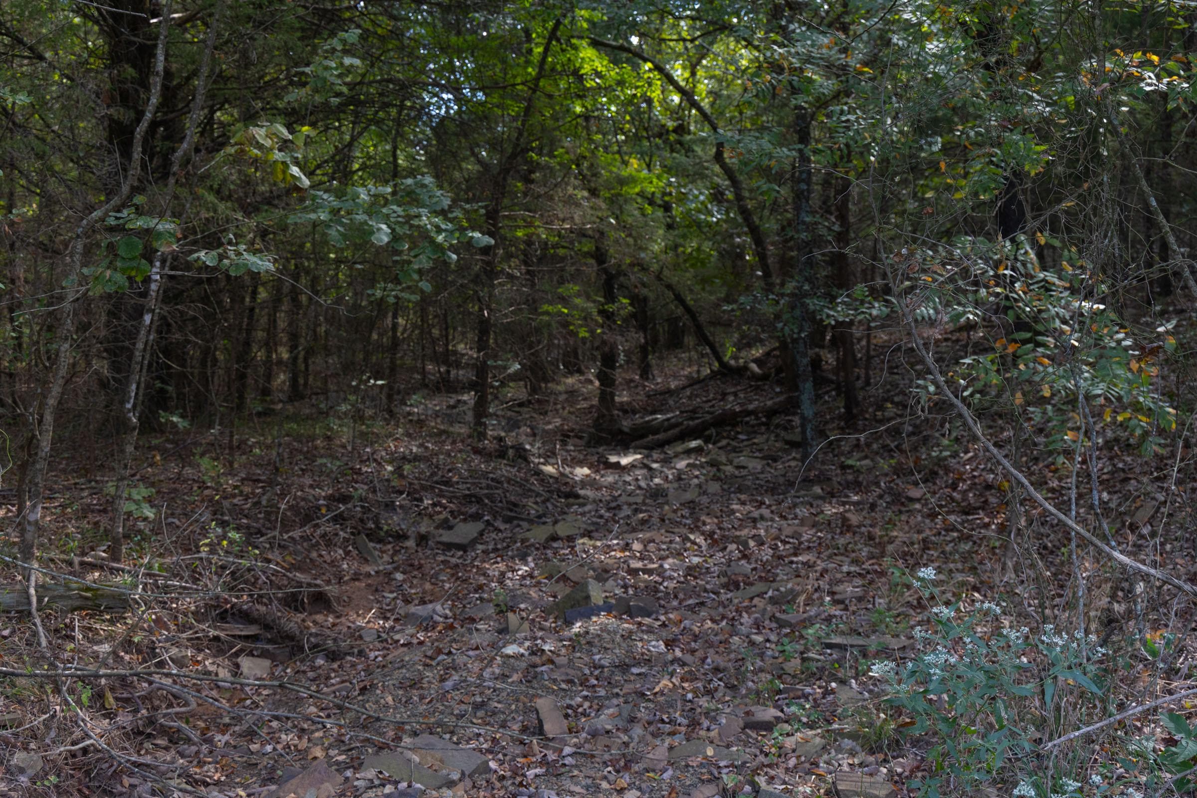  Reserves At Cattail Cove Phase II — Zero Credit Land owner financed land for sale in Pittsburg County, Oklahoma photo 96