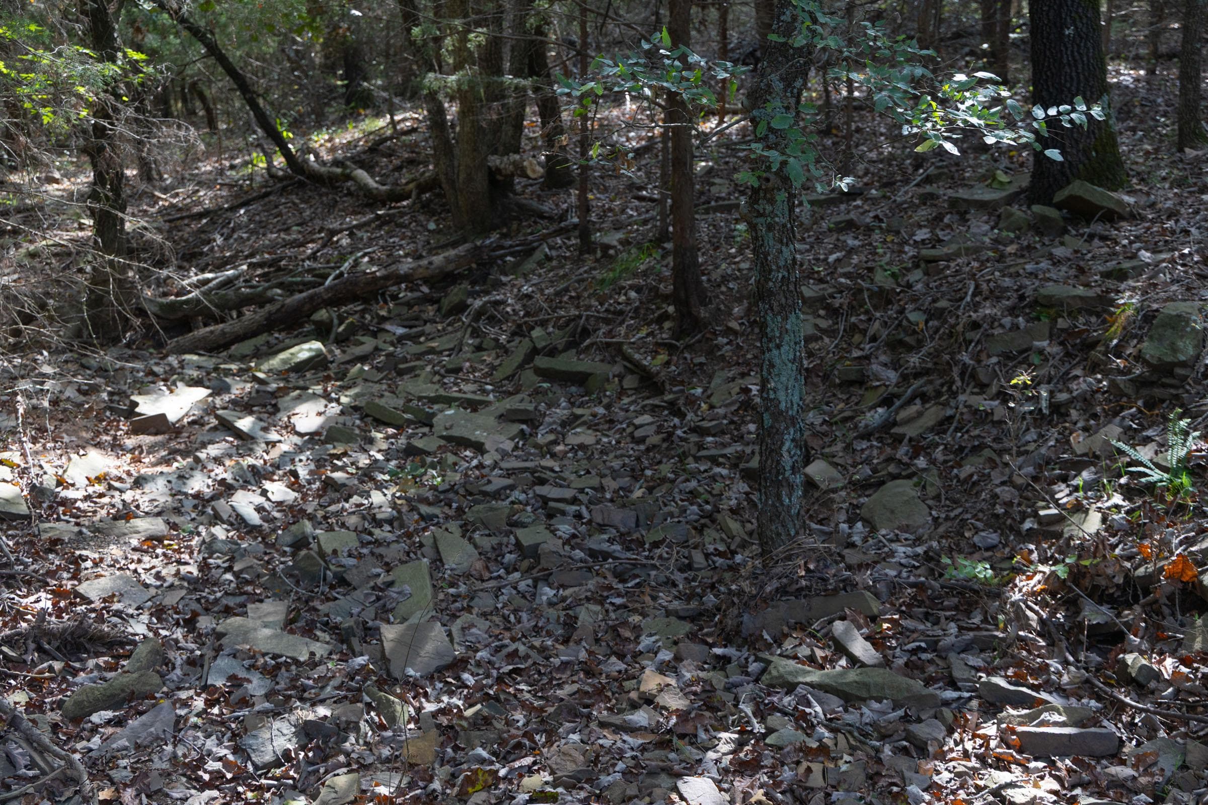  Reserves At Cattail Cove Phase II — Zero Credit Land owner financed land for sale in Pittsburg County, Oklahoma photo 94