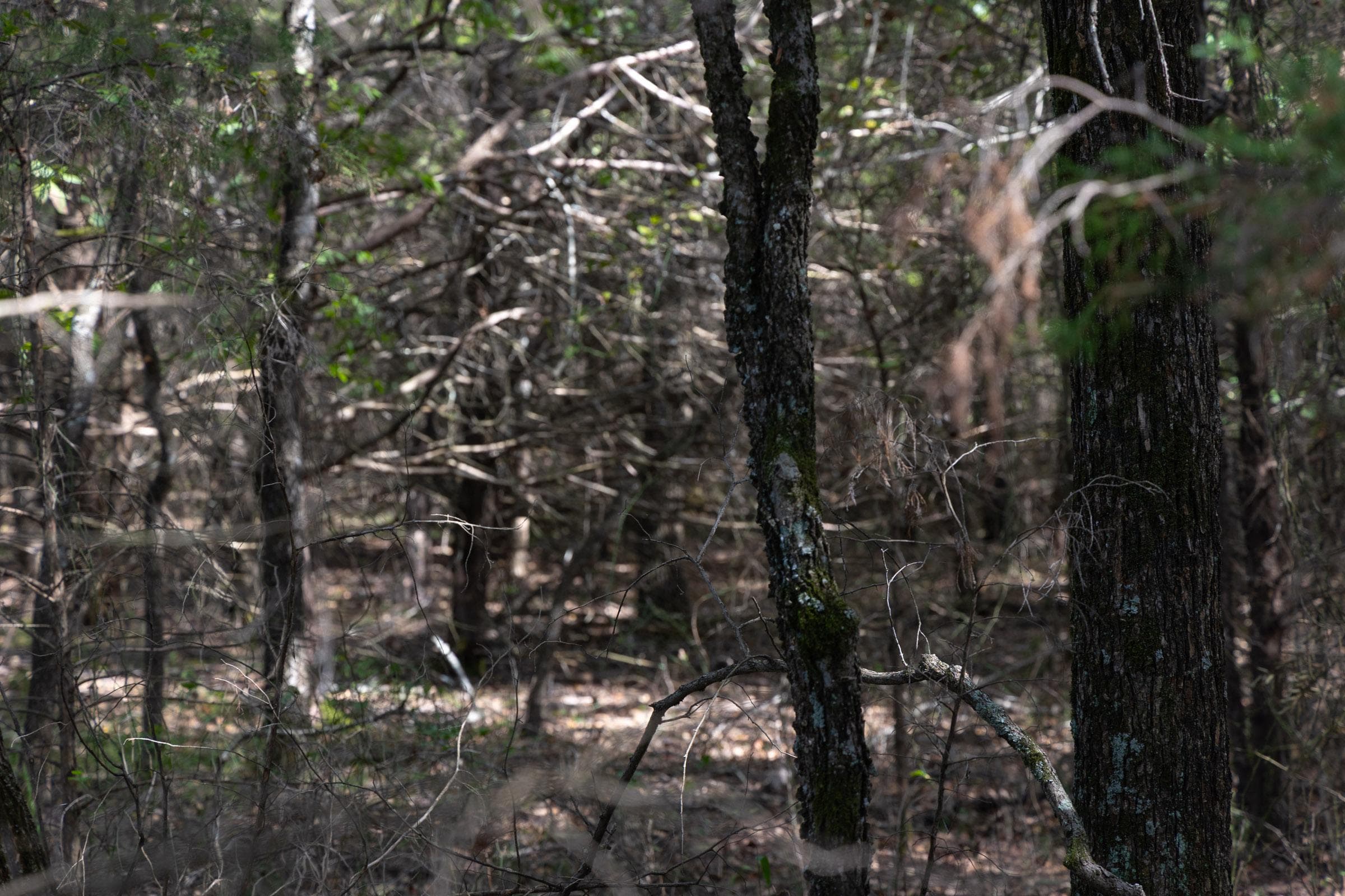  Reserves At Cattail Cove Phase II — Zero Credit Land owner financed land for sale in Pittsburg County, Oklahoma photo 95