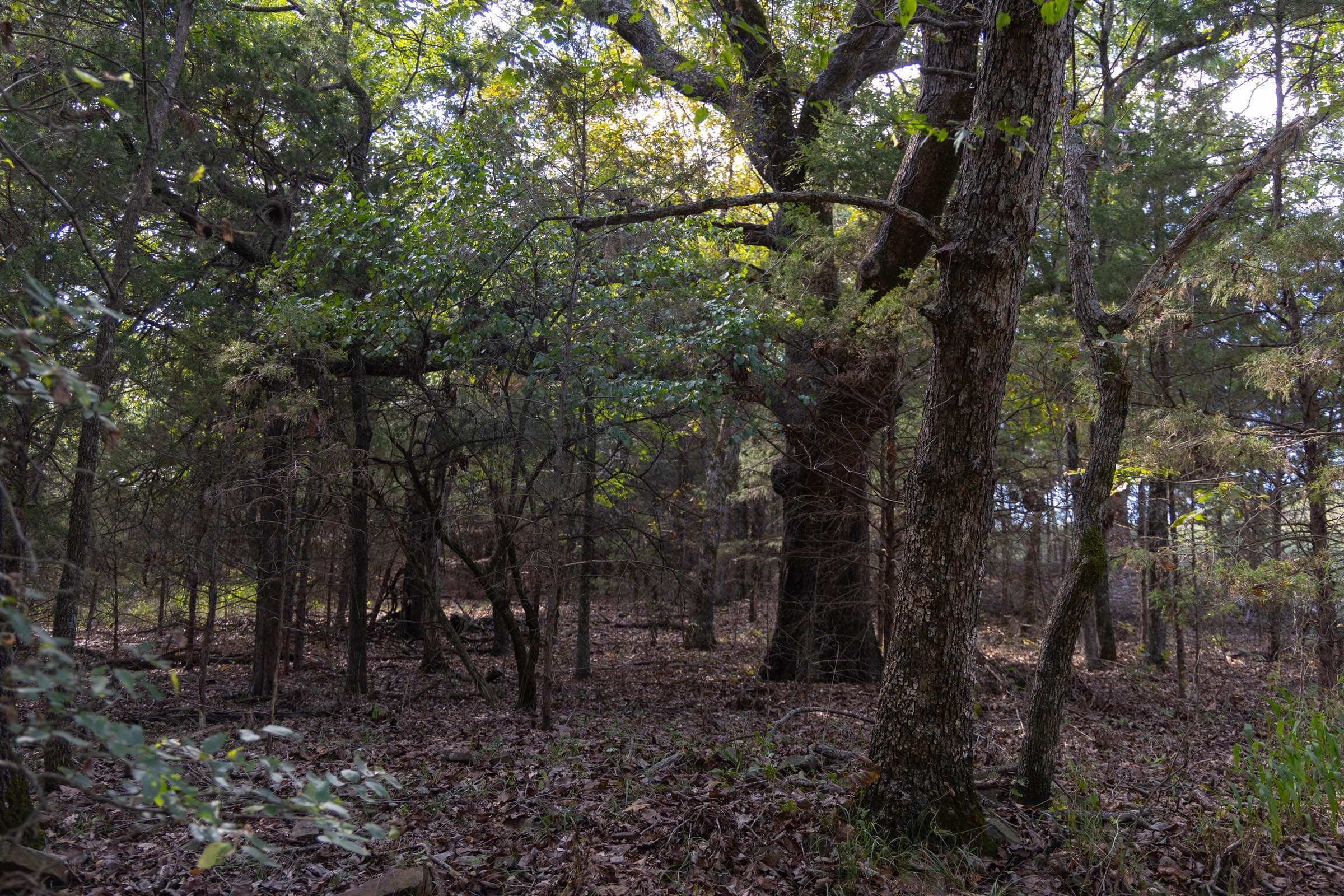  Reserves At Cattail Cove Phase II — Zero Credit Land owner financed land for sale in Pittsburg County, Oklahoma photo 100