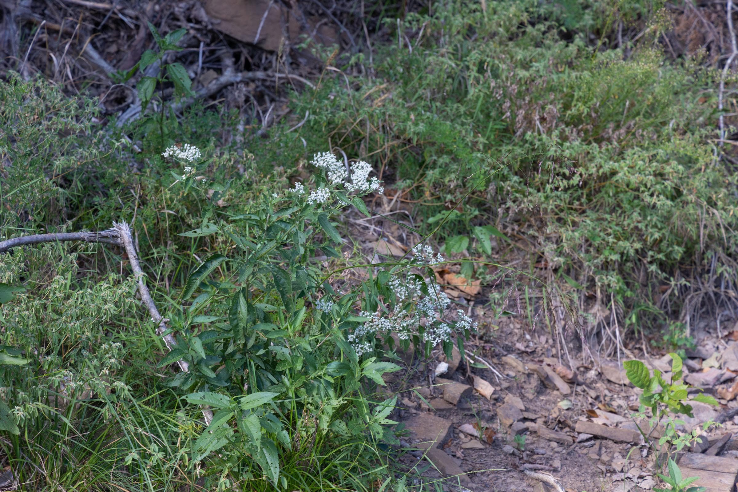  Reserves At Cattail Cove Phase II — Zero Credit Land owner financed land for sale in Pittsburg County, Oklahoma photo 101