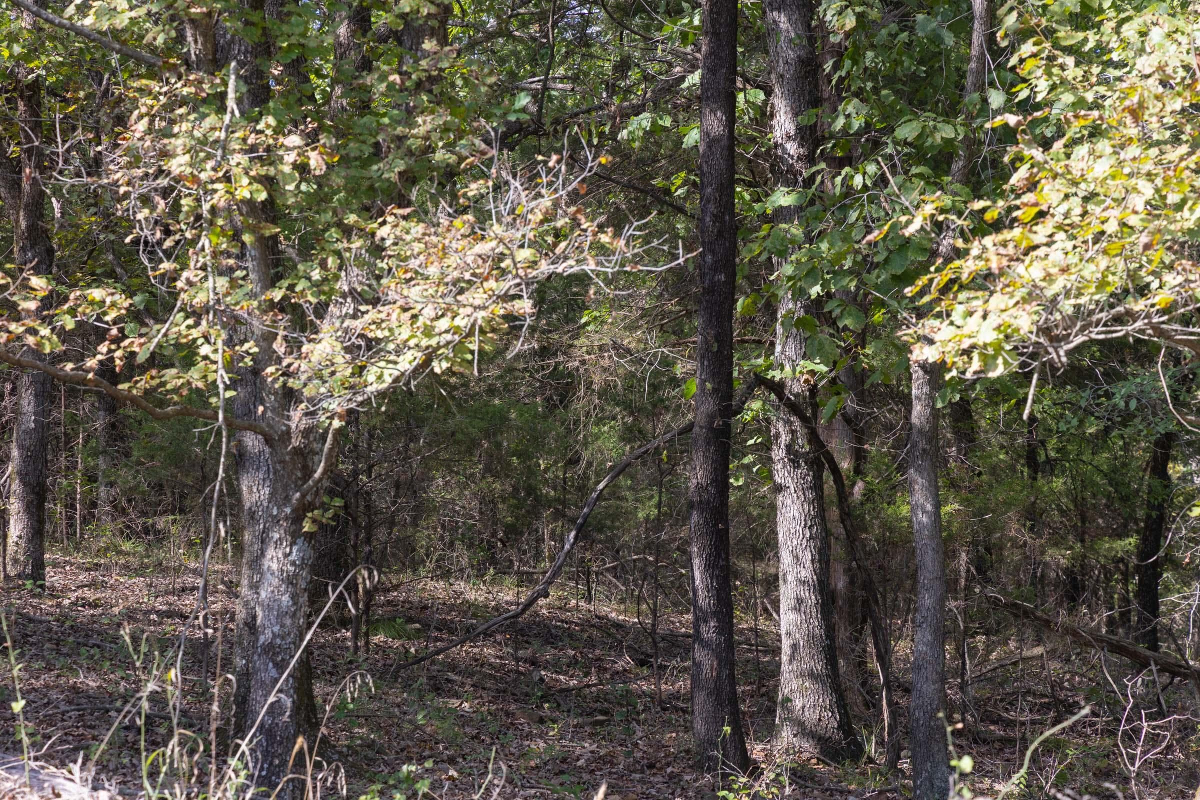  Reserves At Cattail Cove Phase II — Zero Credit Land owner financed land for sale in Pittsburg County, Oklahoma photo 102