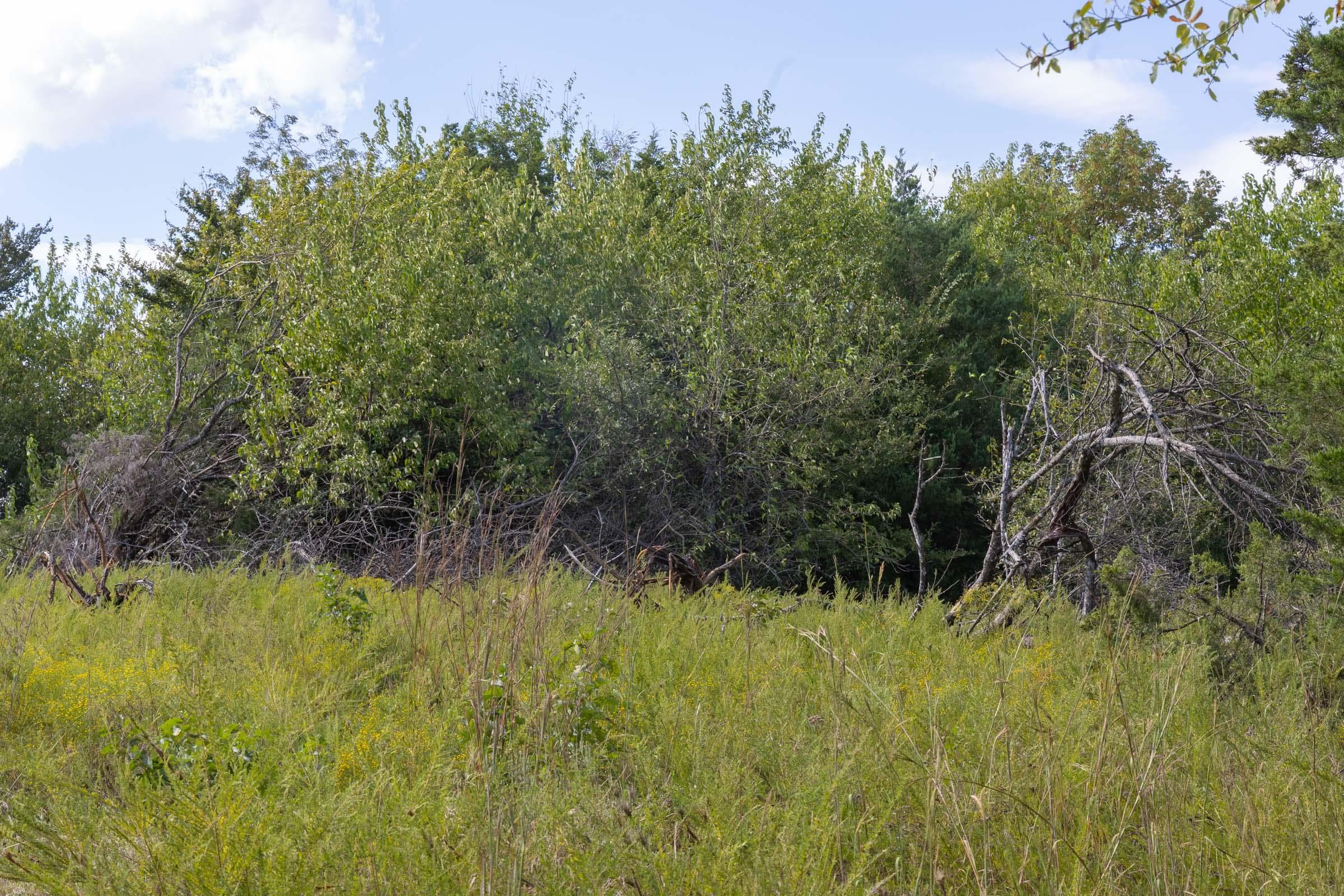  Reserves At Cattail Cove Phase II — Zero Credit Land owner financed land for sale in Pittsburg County, Oklahoma photo 106