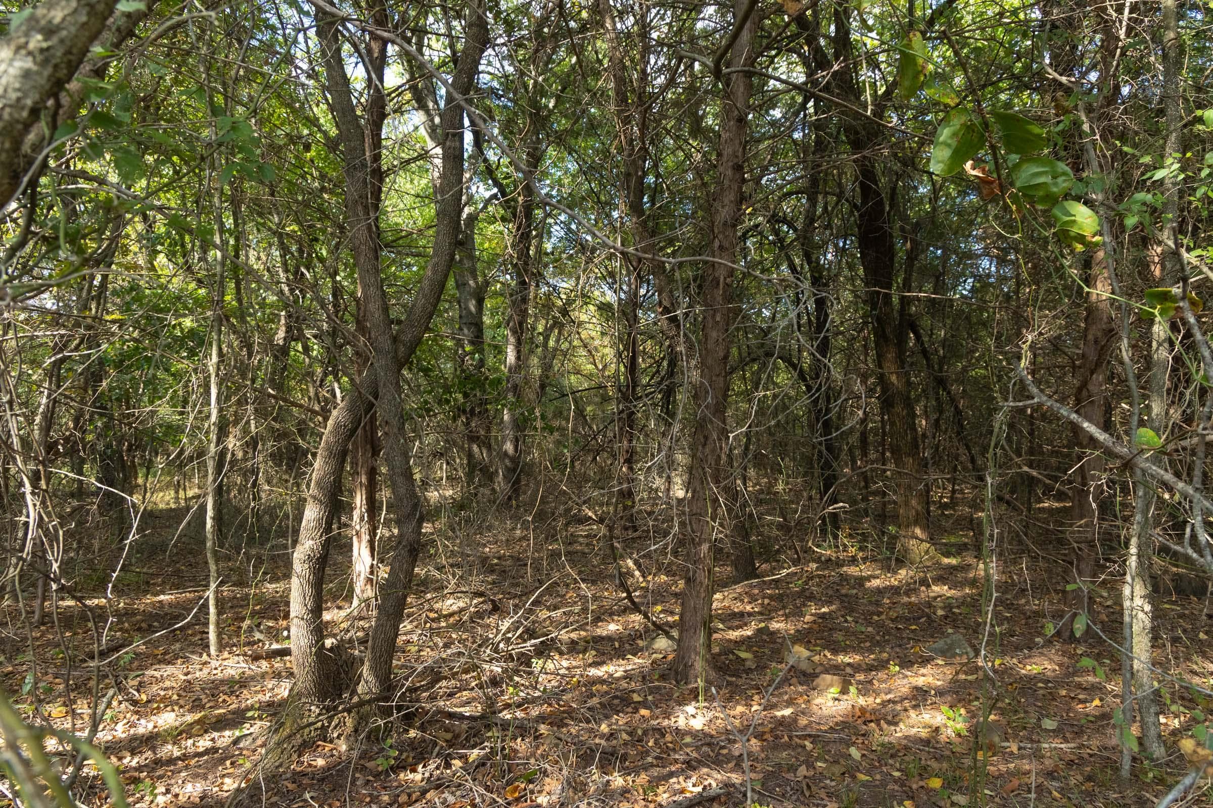  Reserves At Cattail Cove Phase II — Zero Credit Land owner financed land for sale in Pittsburg County, Oklahoma photo 142
